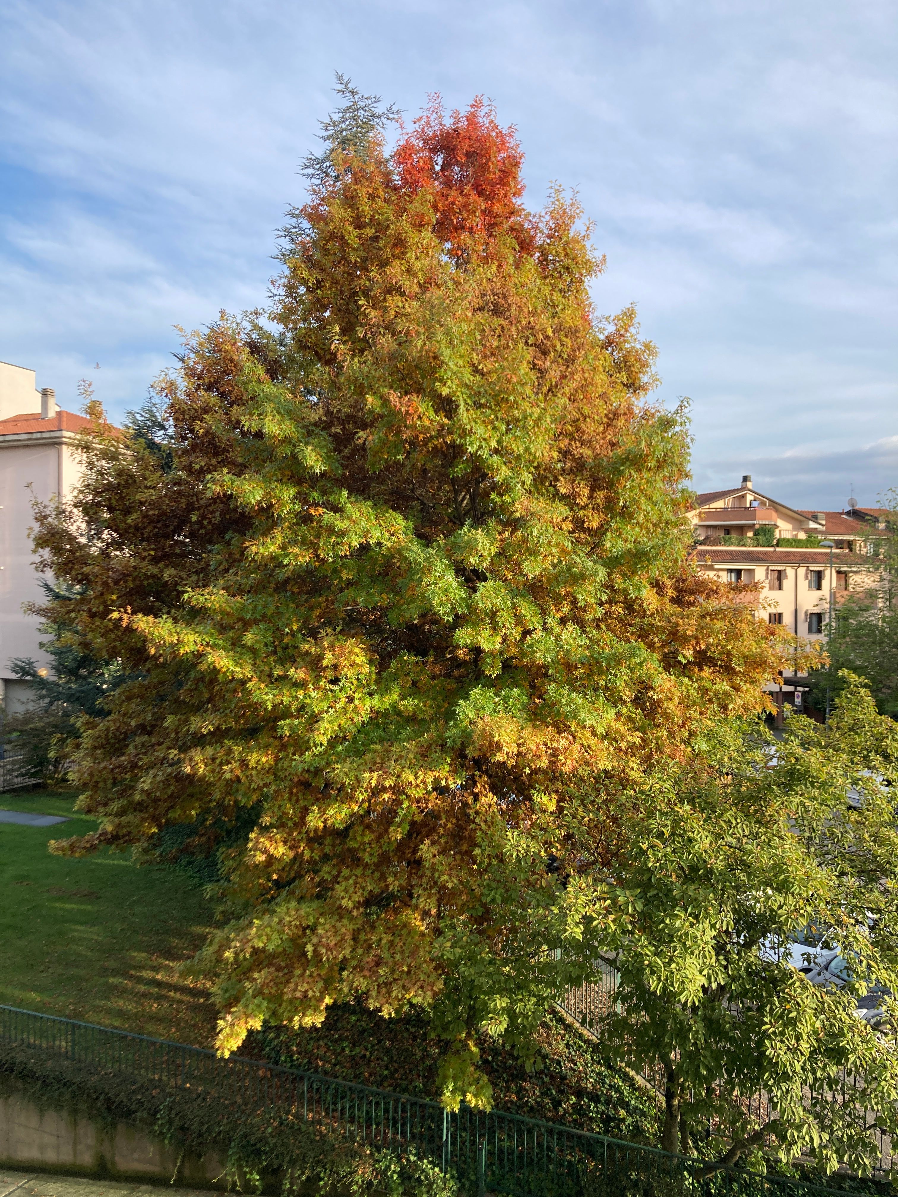image-13