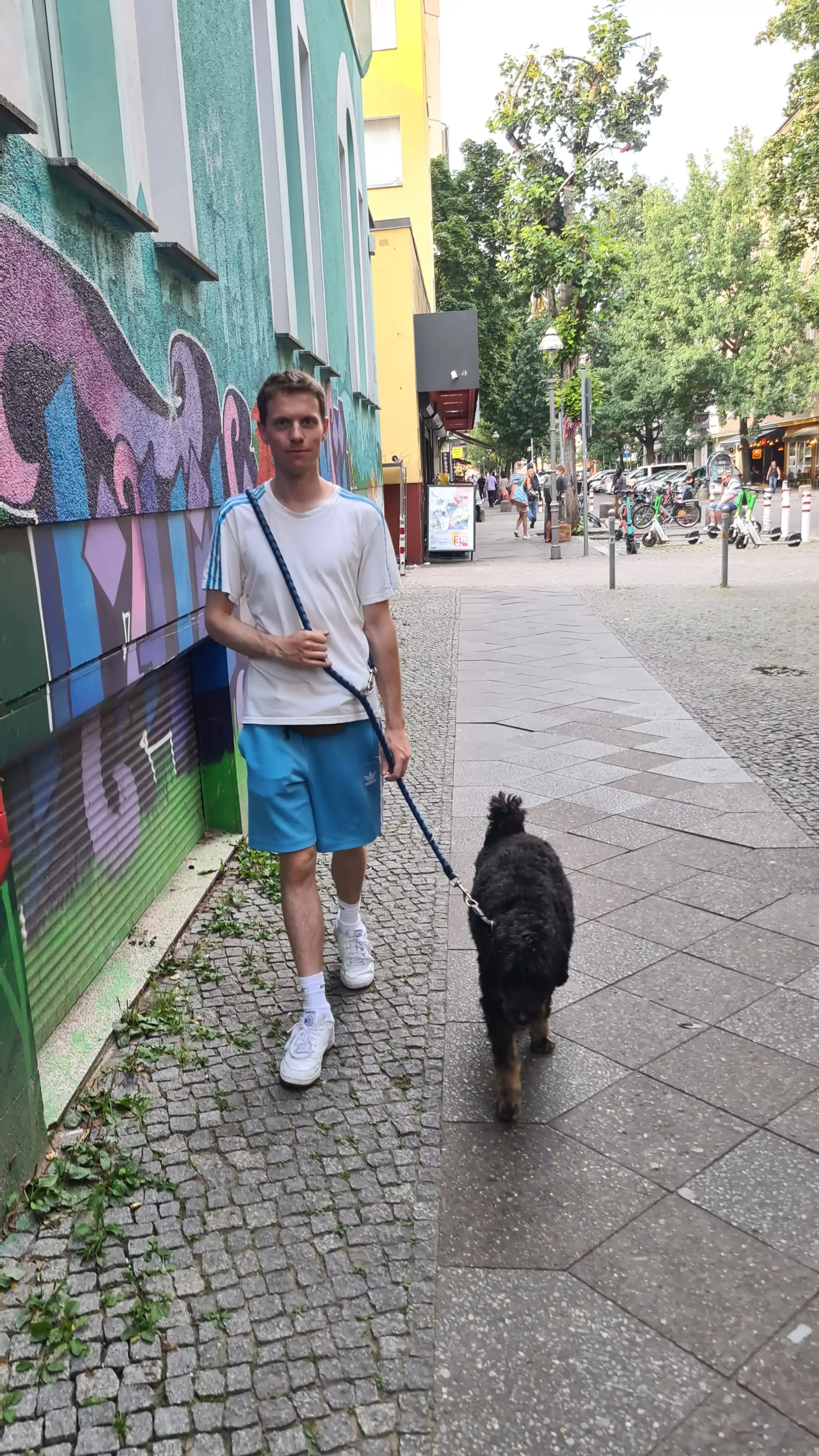 image-5