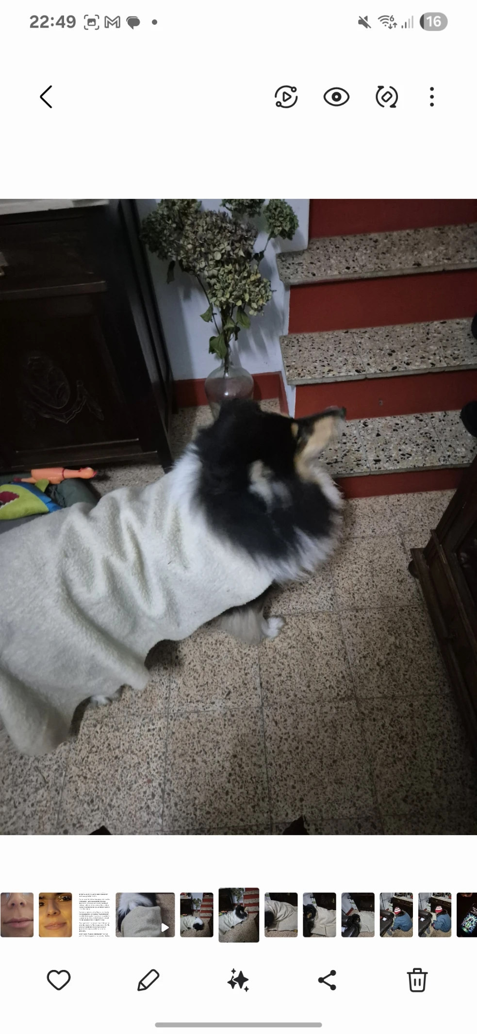 image-9