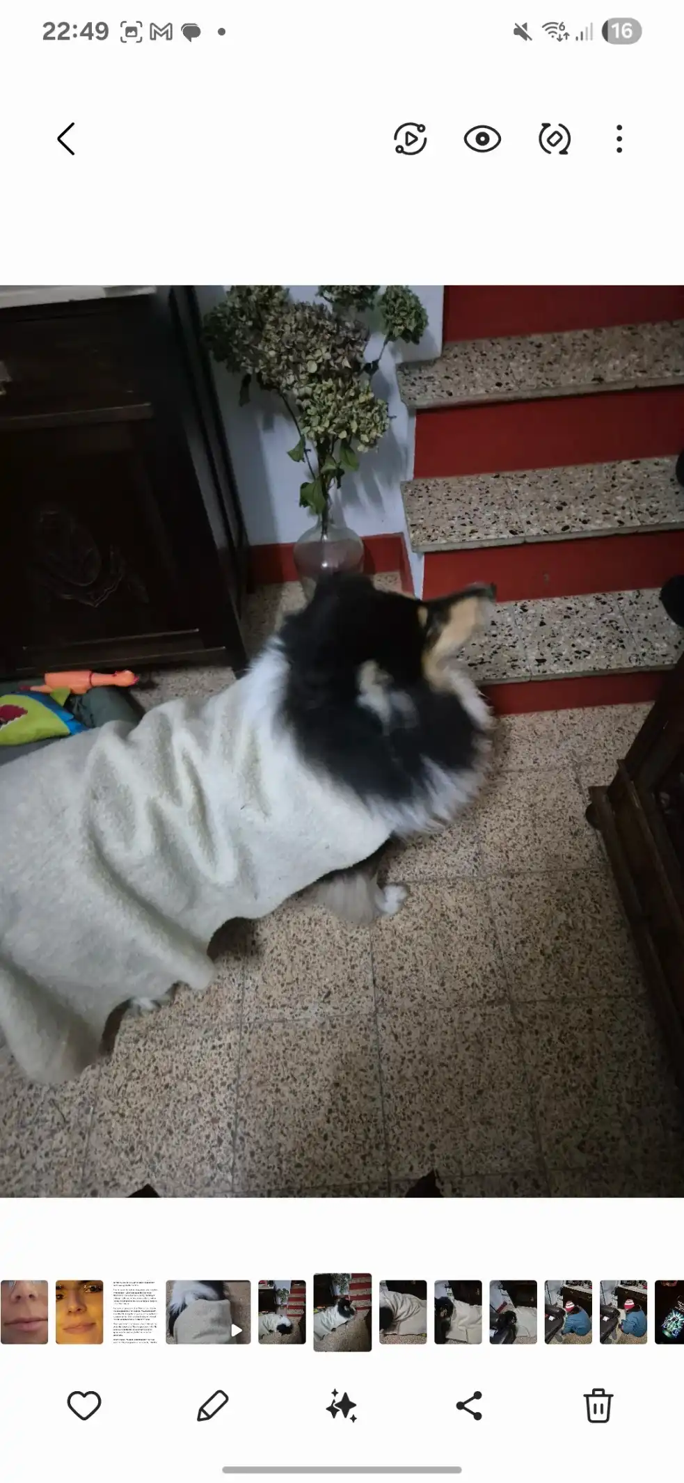 image-9