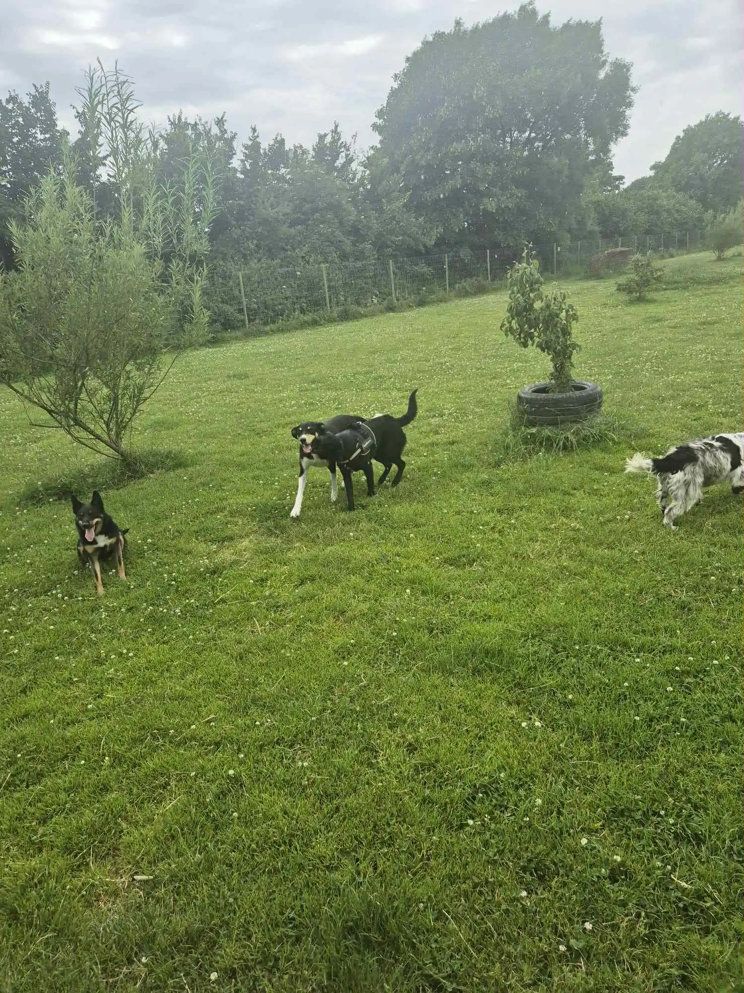 image-9