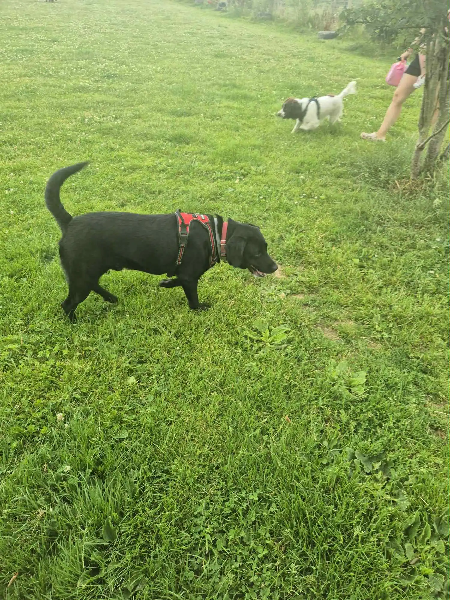 image-10