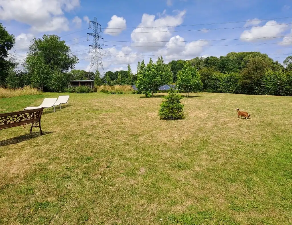 image-9