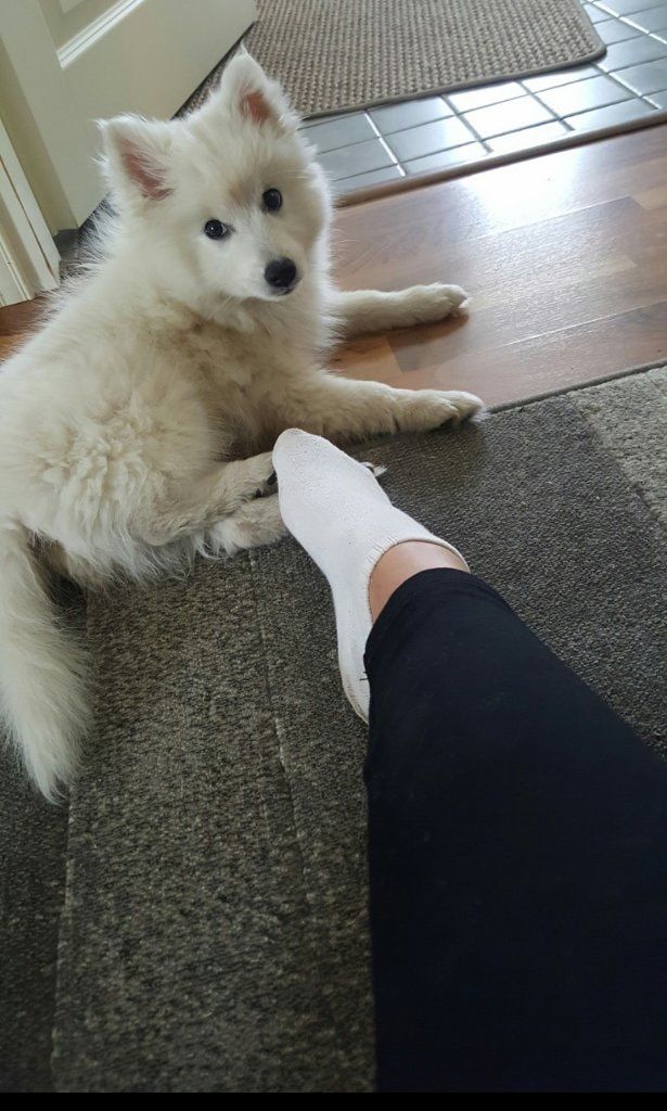 image-3