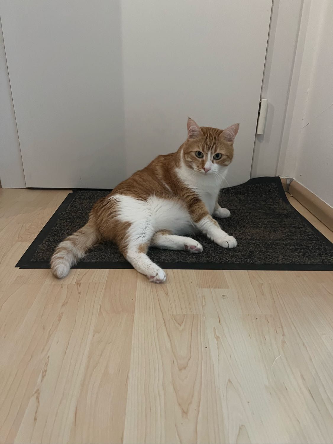 image-6