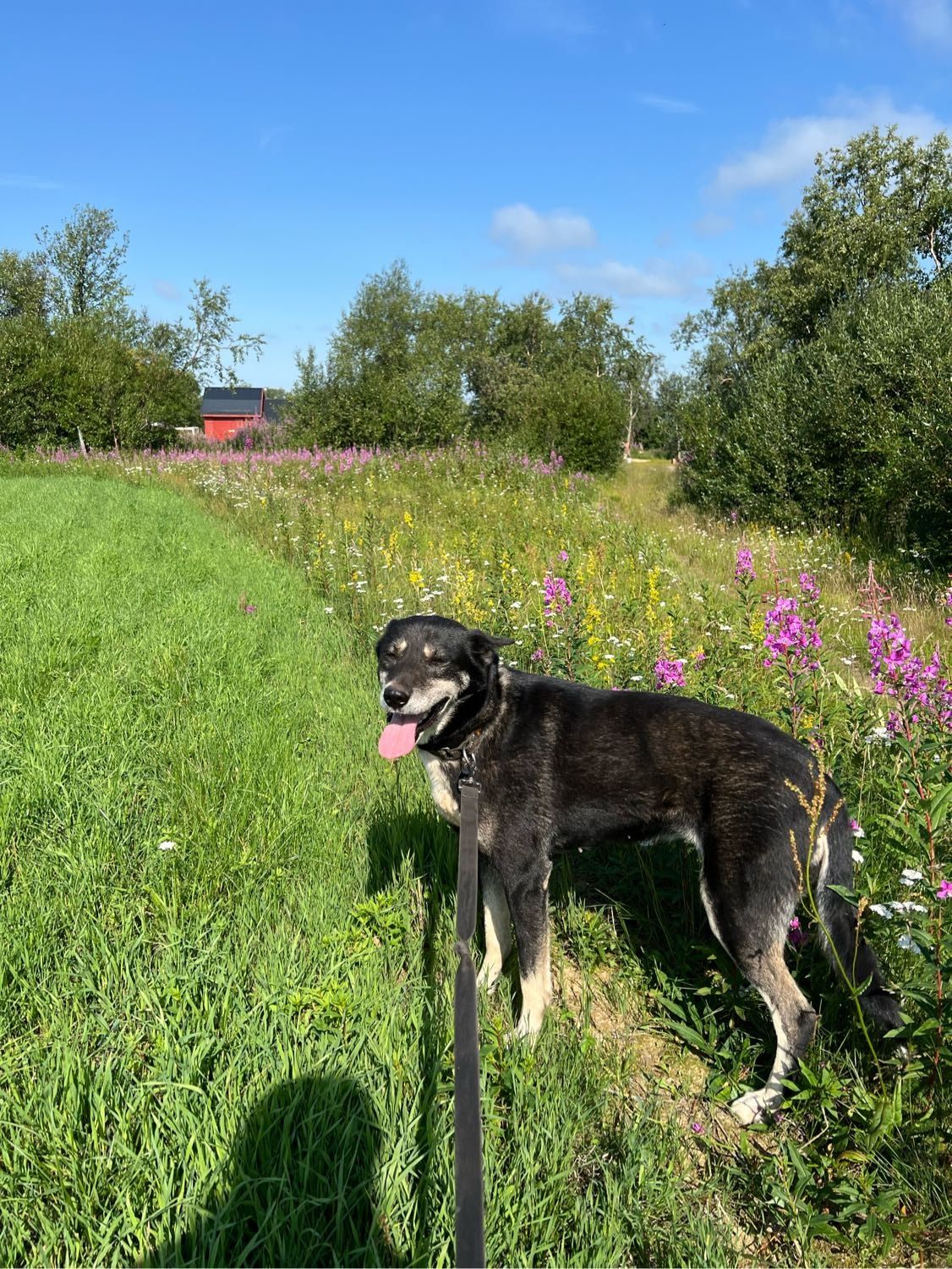 image-9