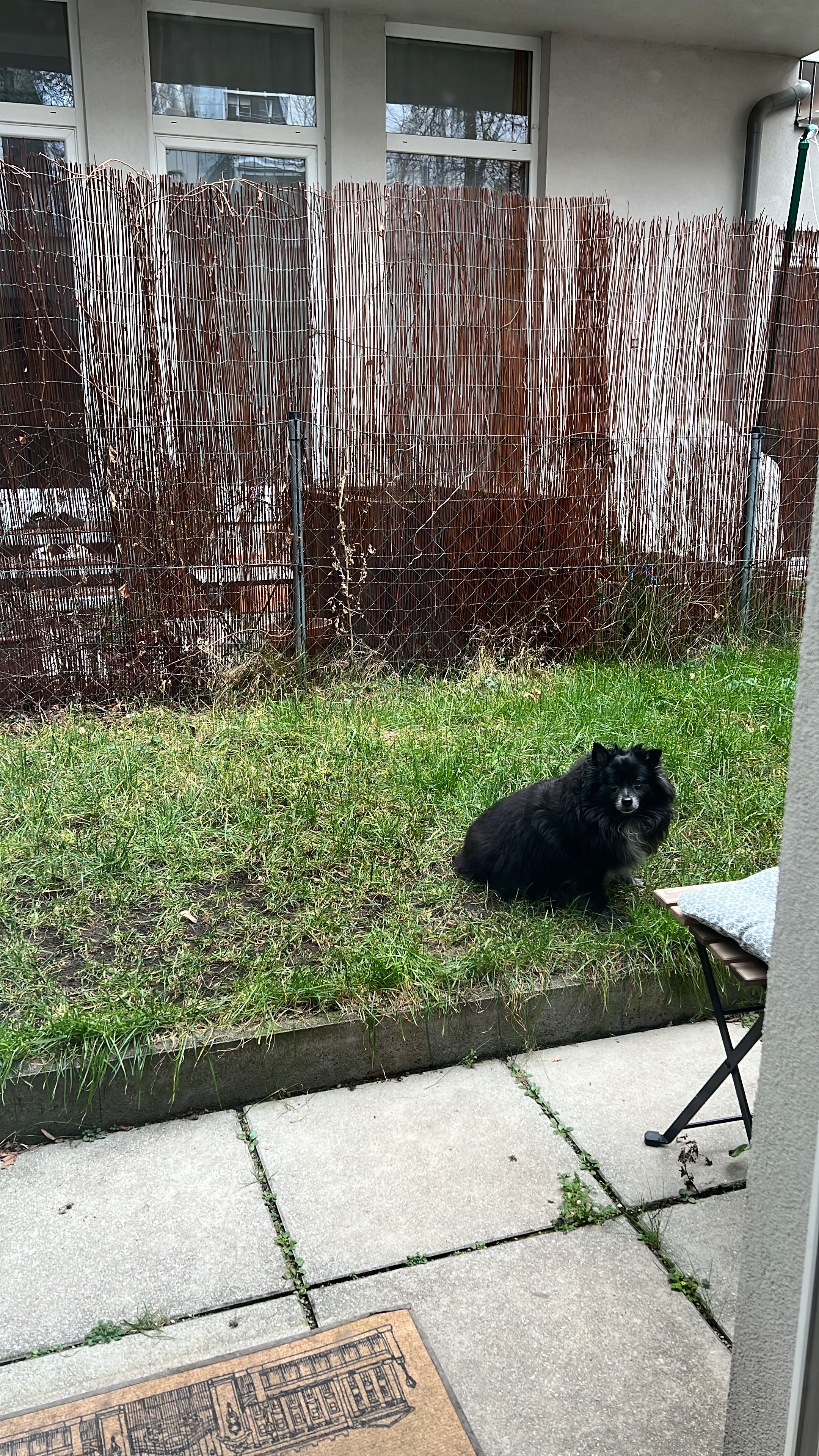 image-15