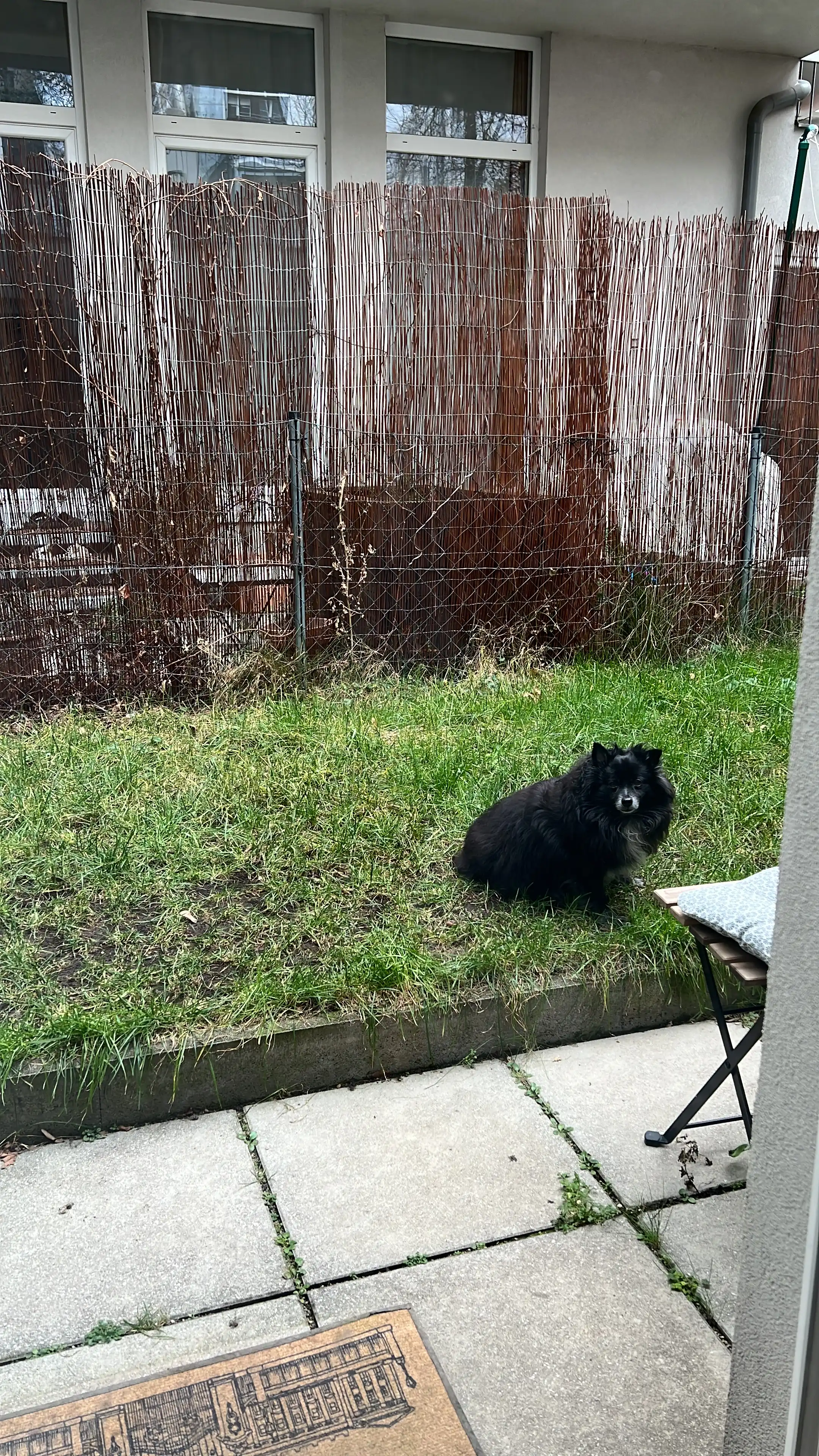 image-15