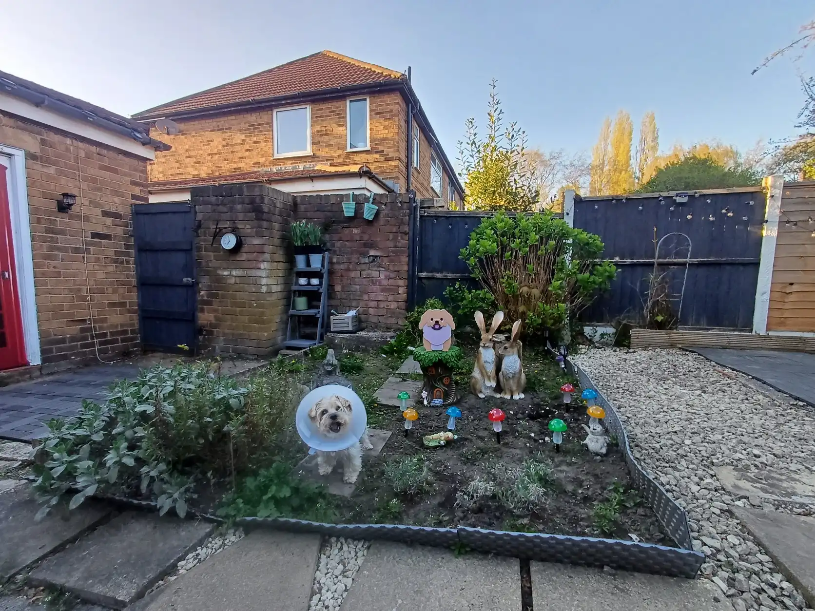 image-19