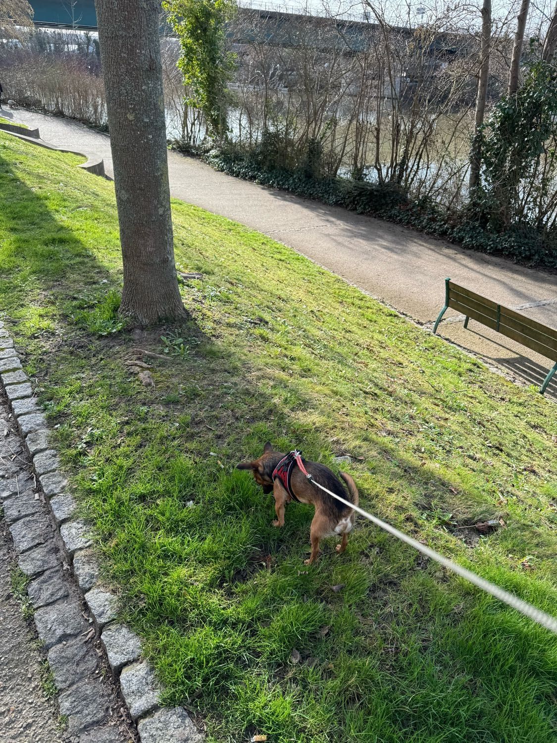 image-12