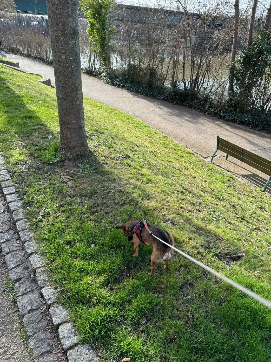 image-12