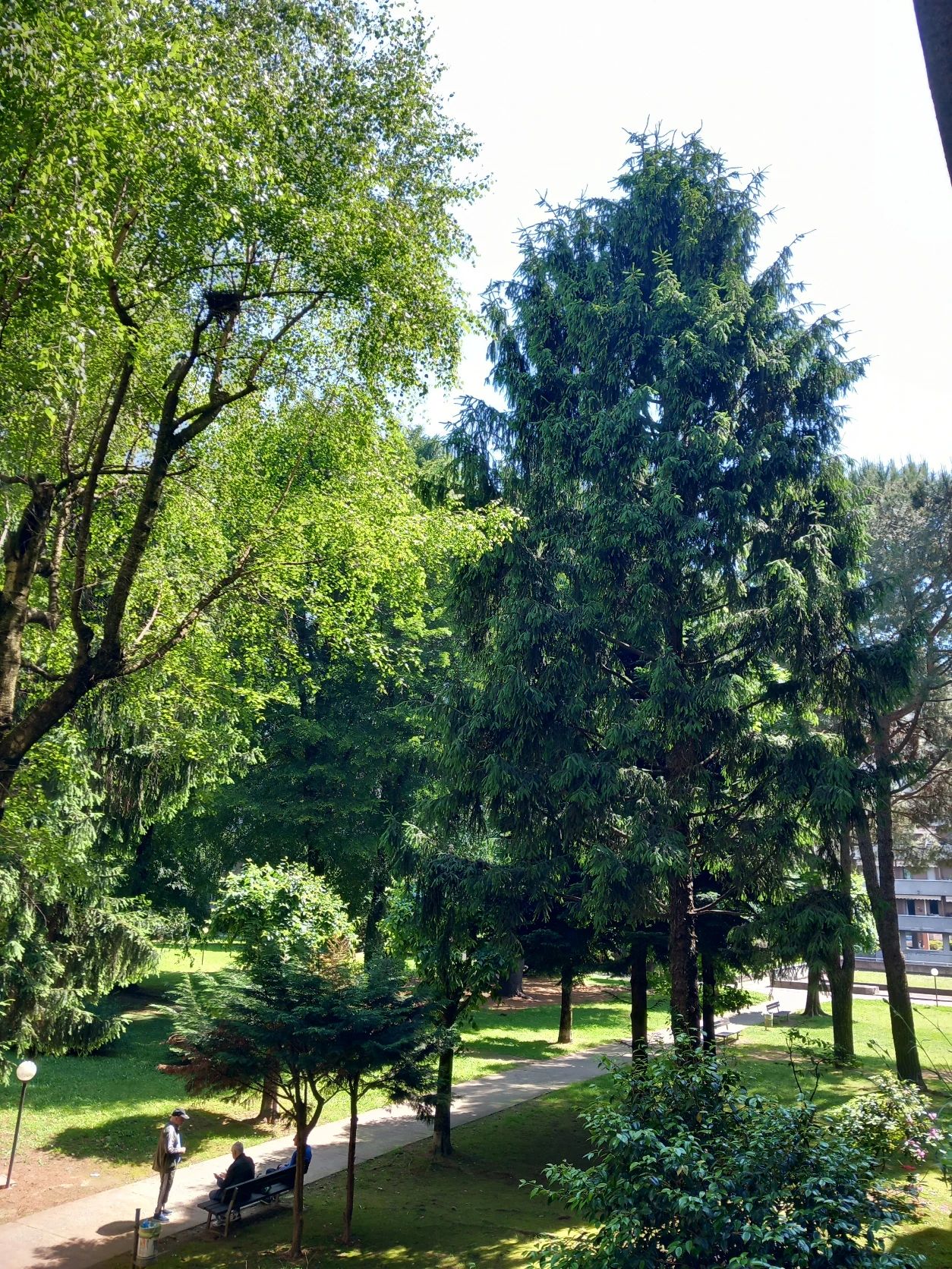 image-35
