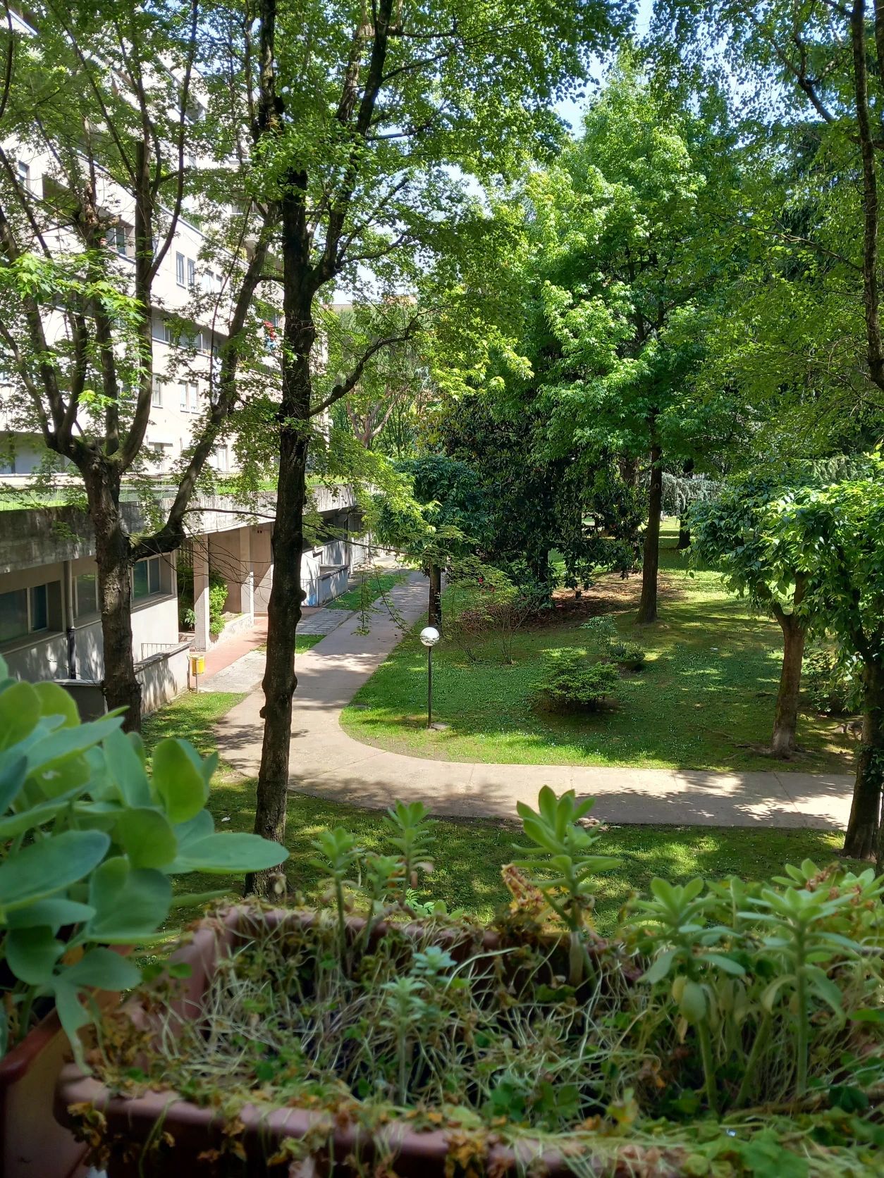 image-31