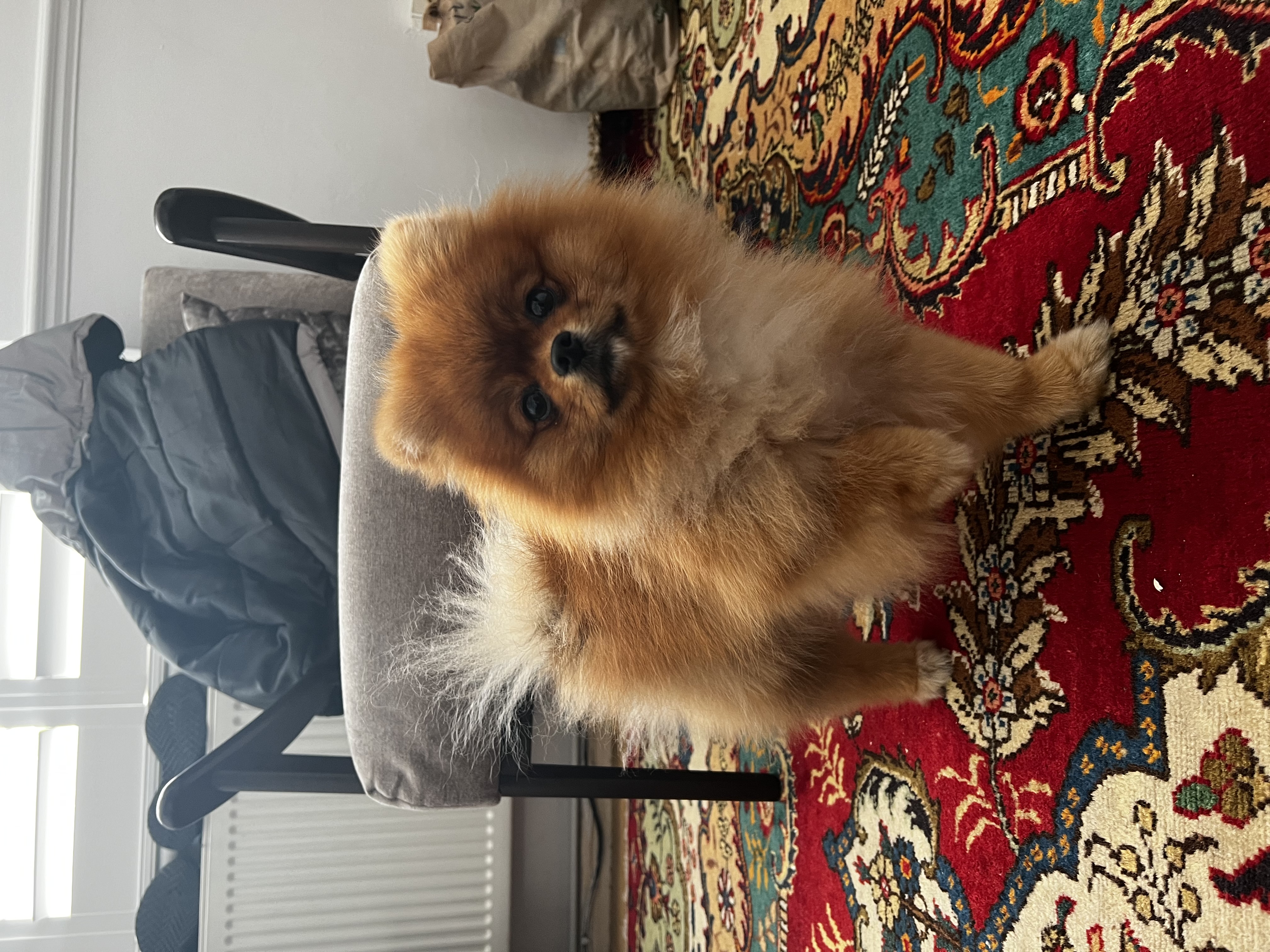 image-7