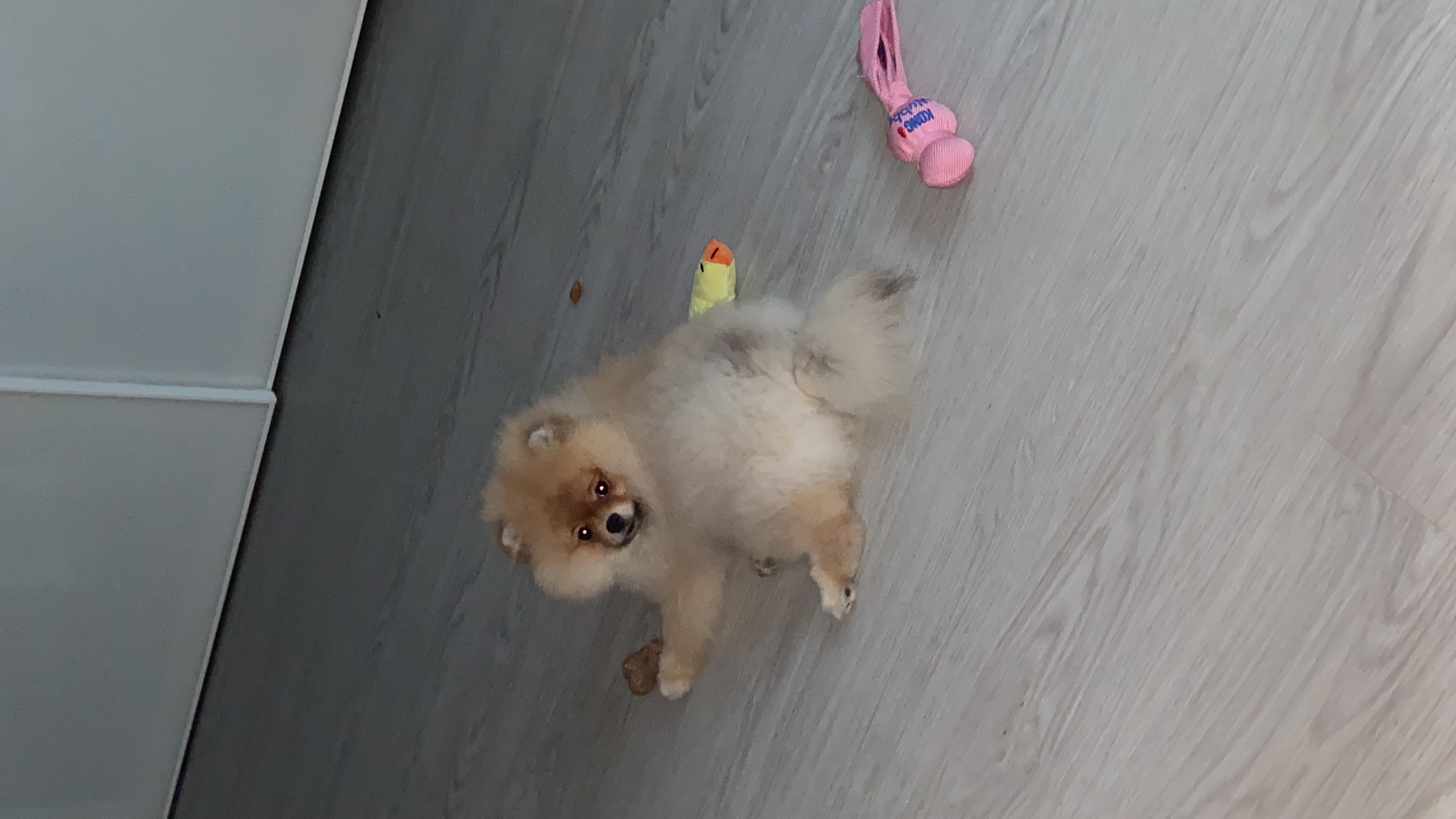 image-9