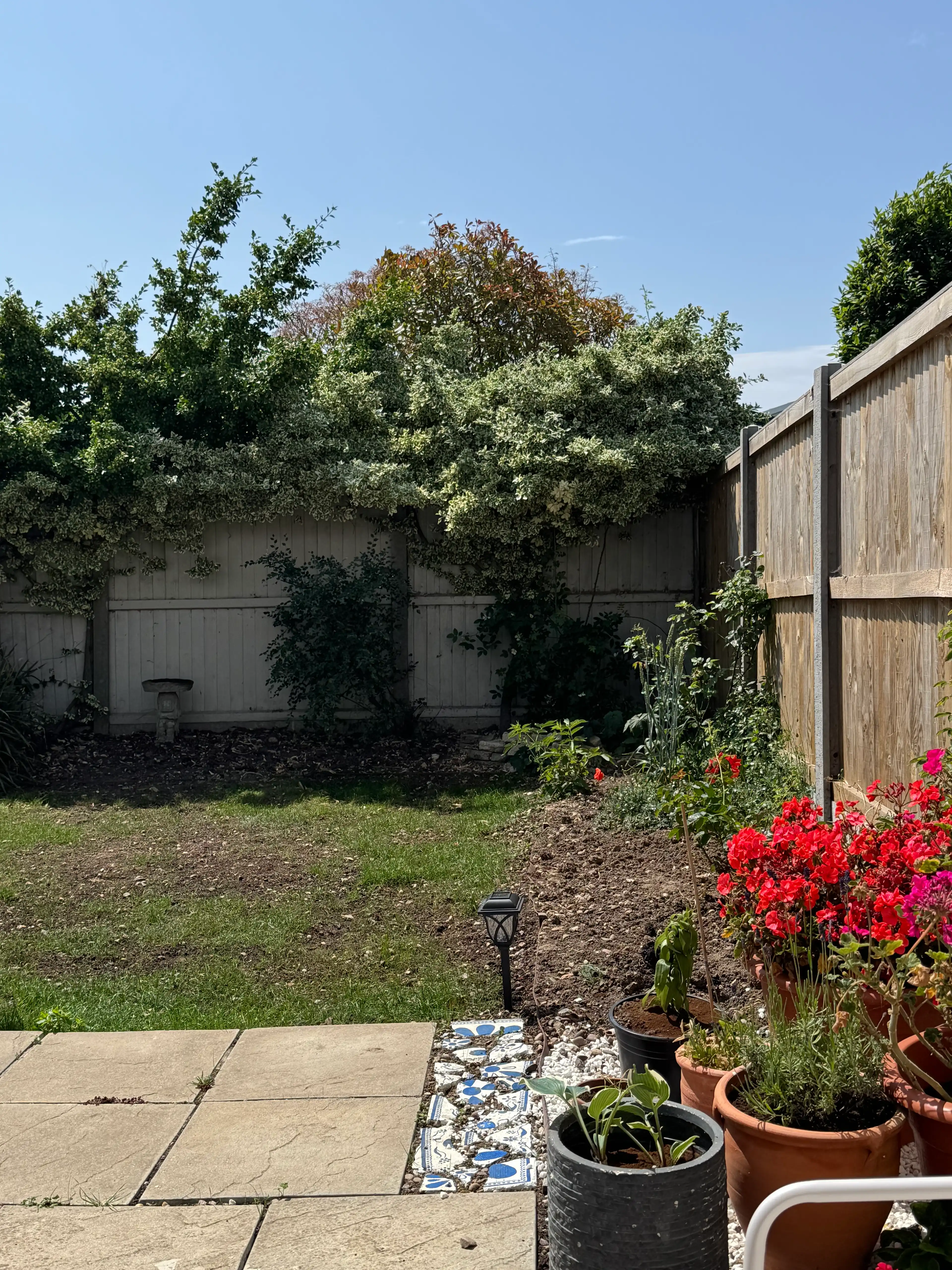 image-19