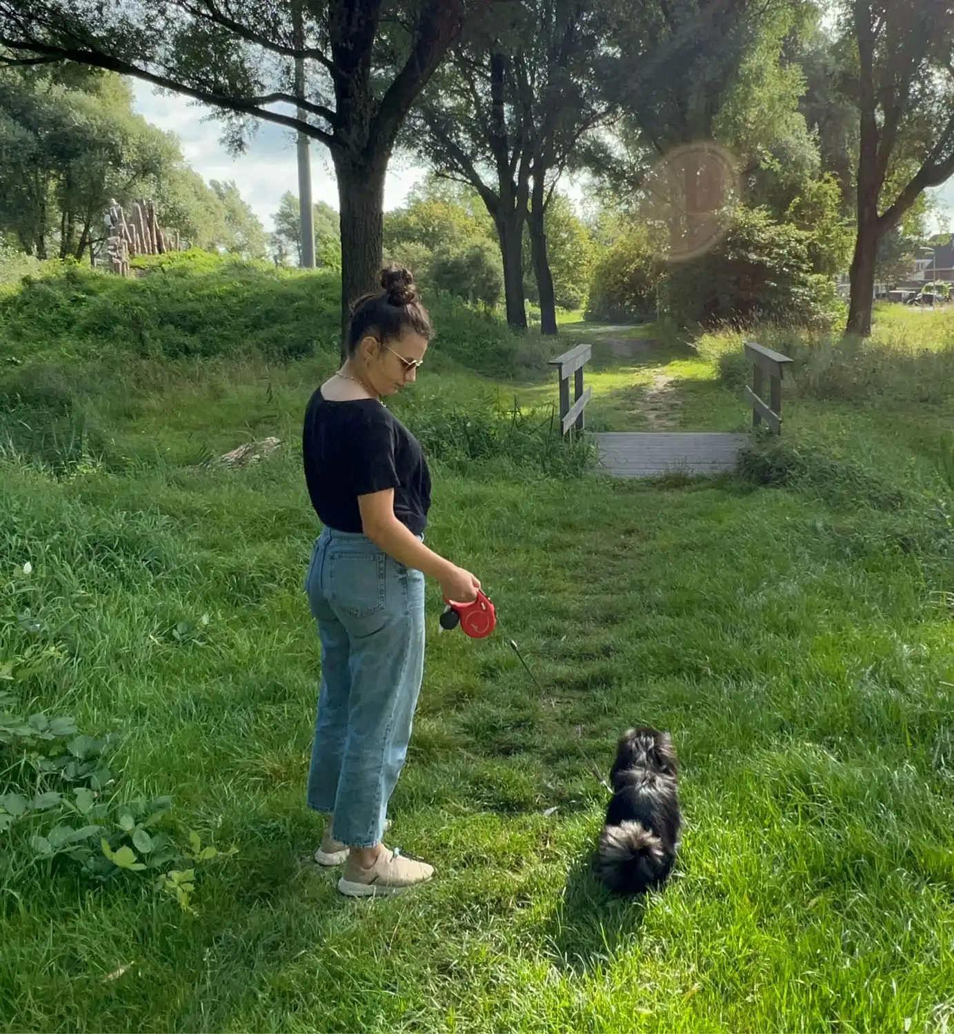 image-11