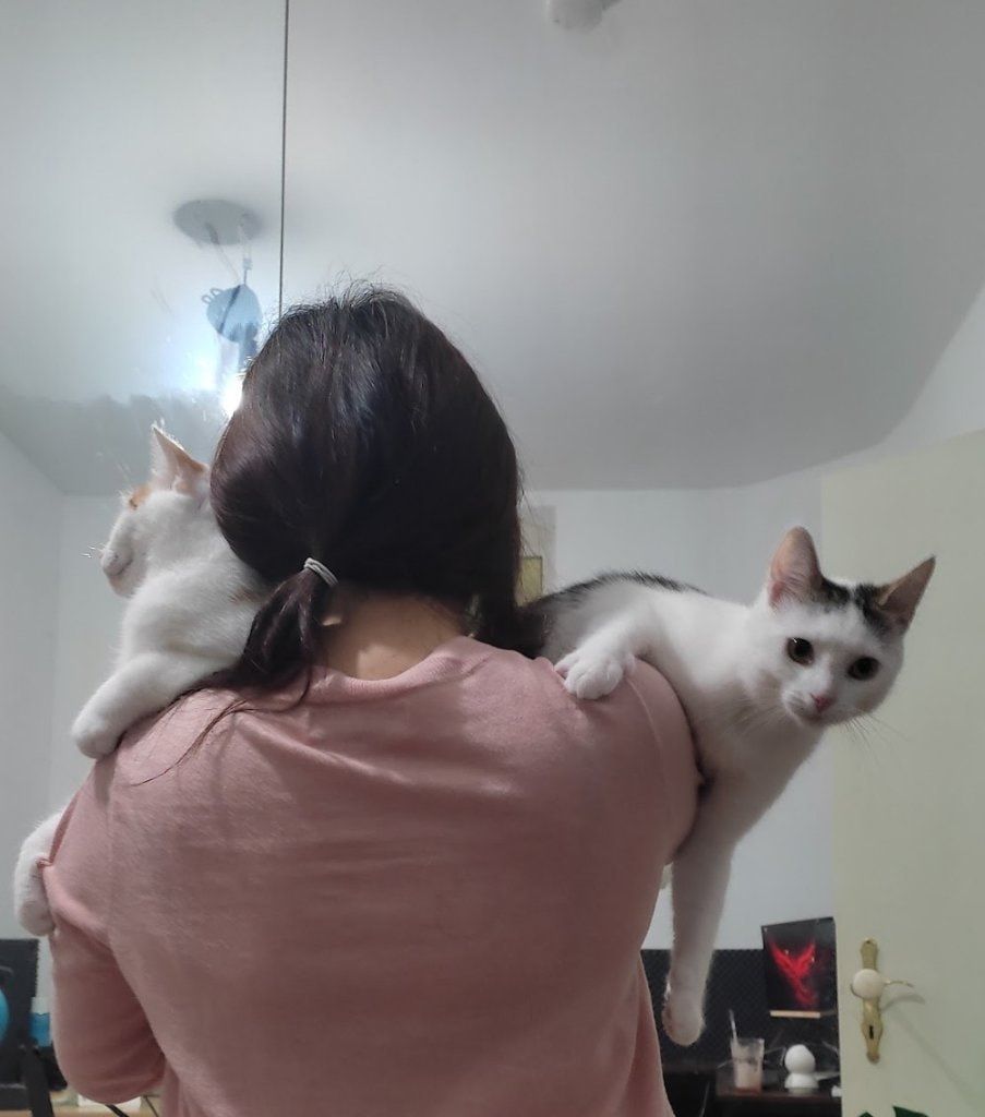 image-8