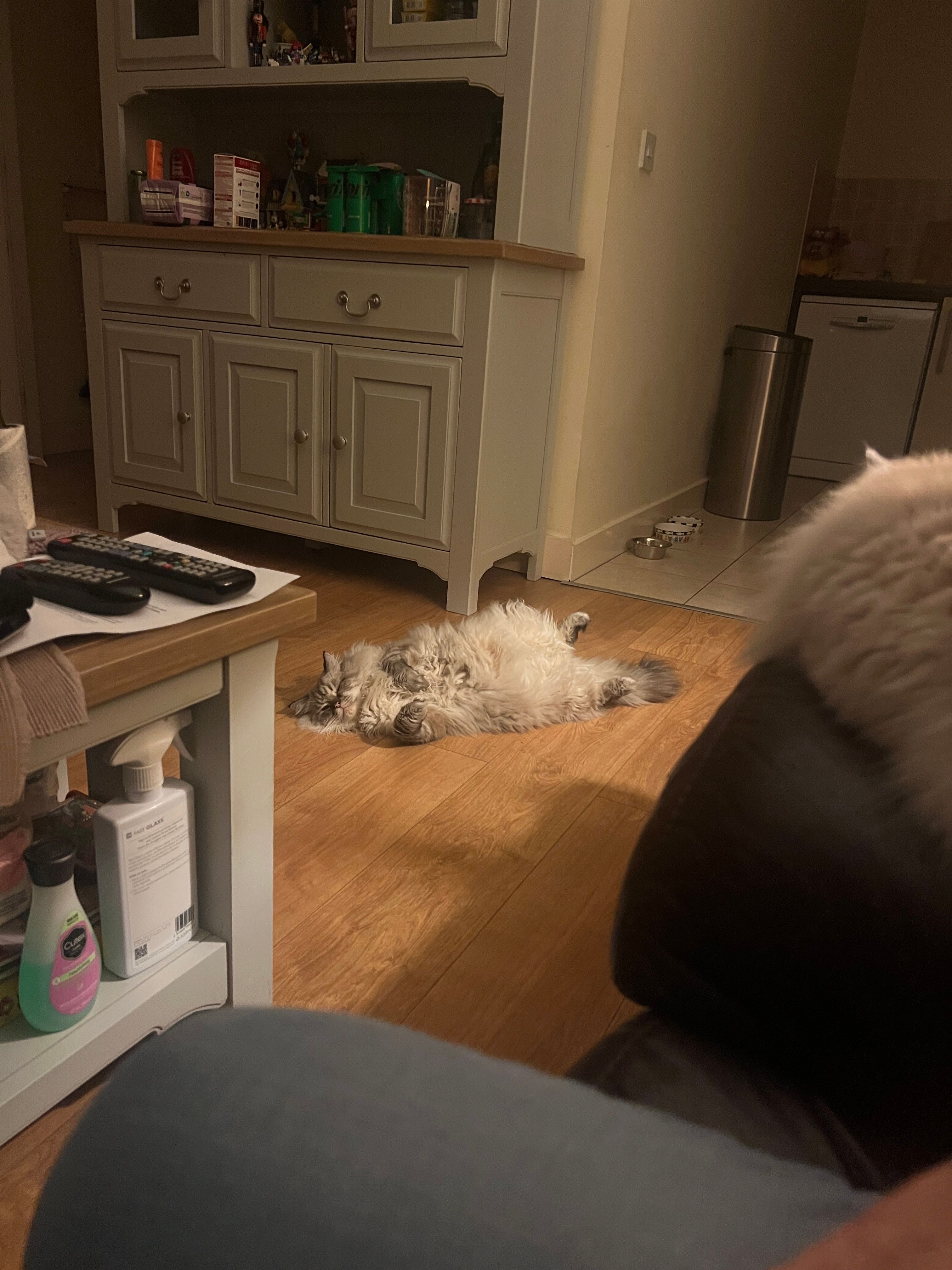 image-11