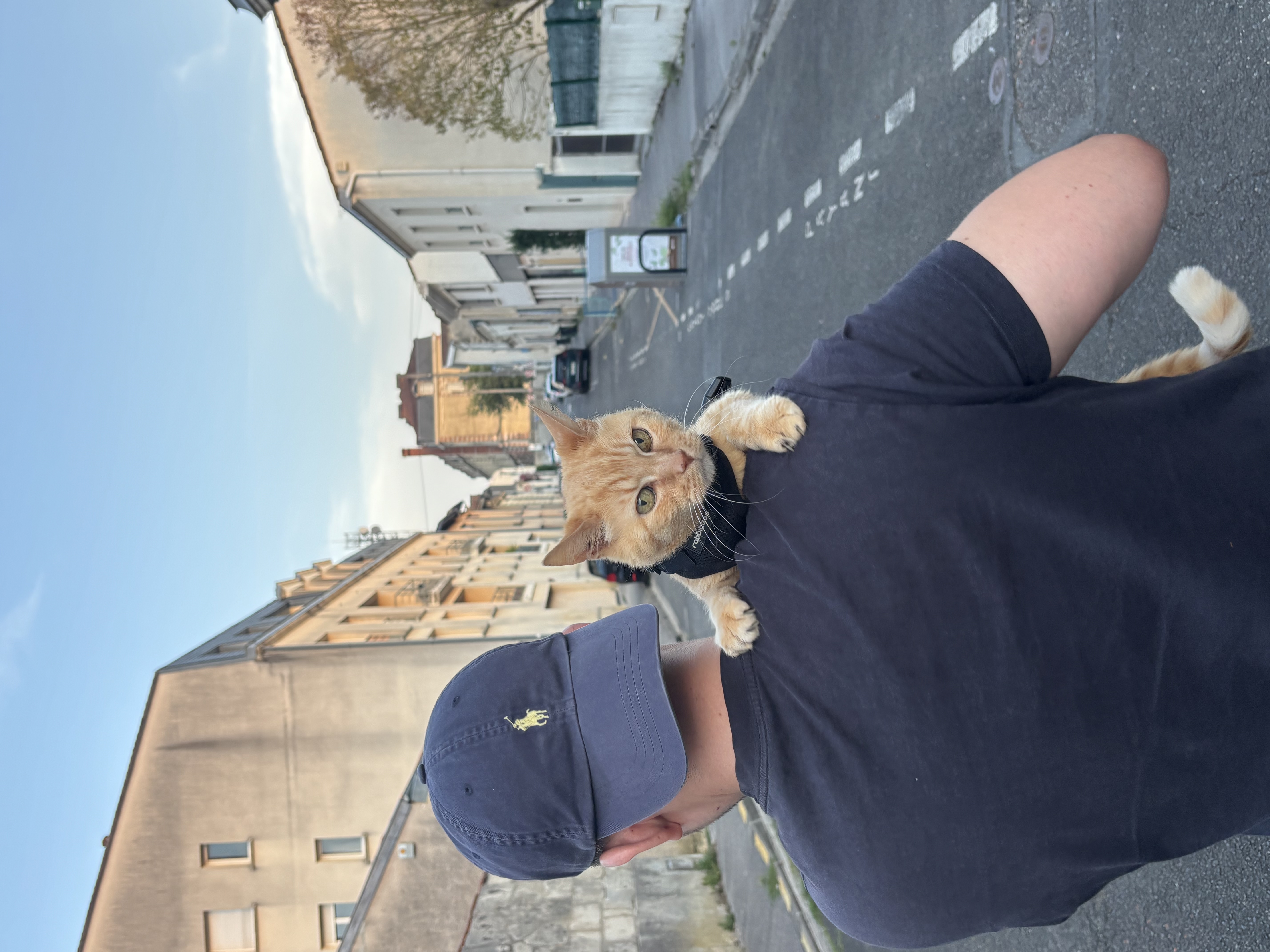 image-11