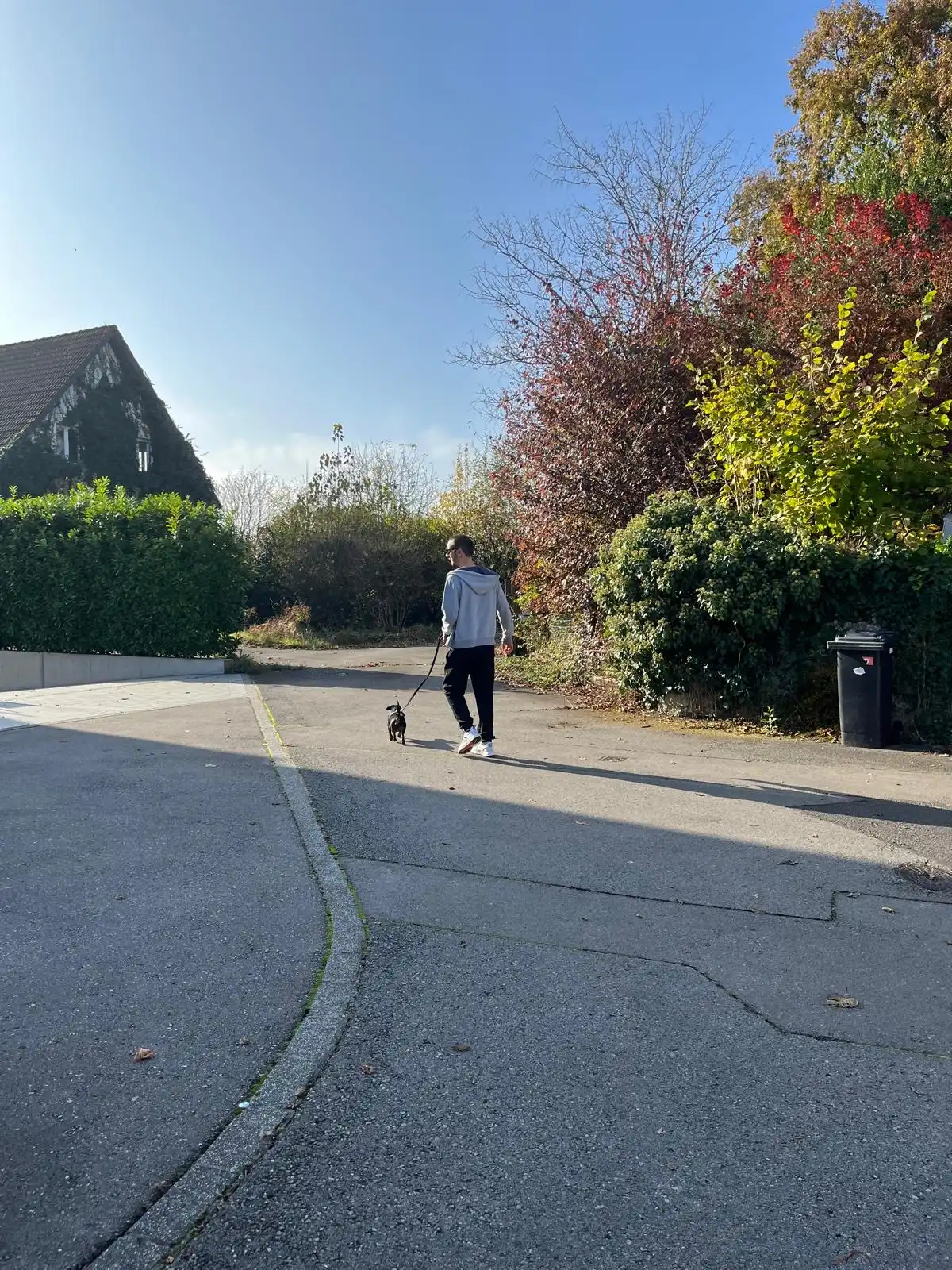image-8