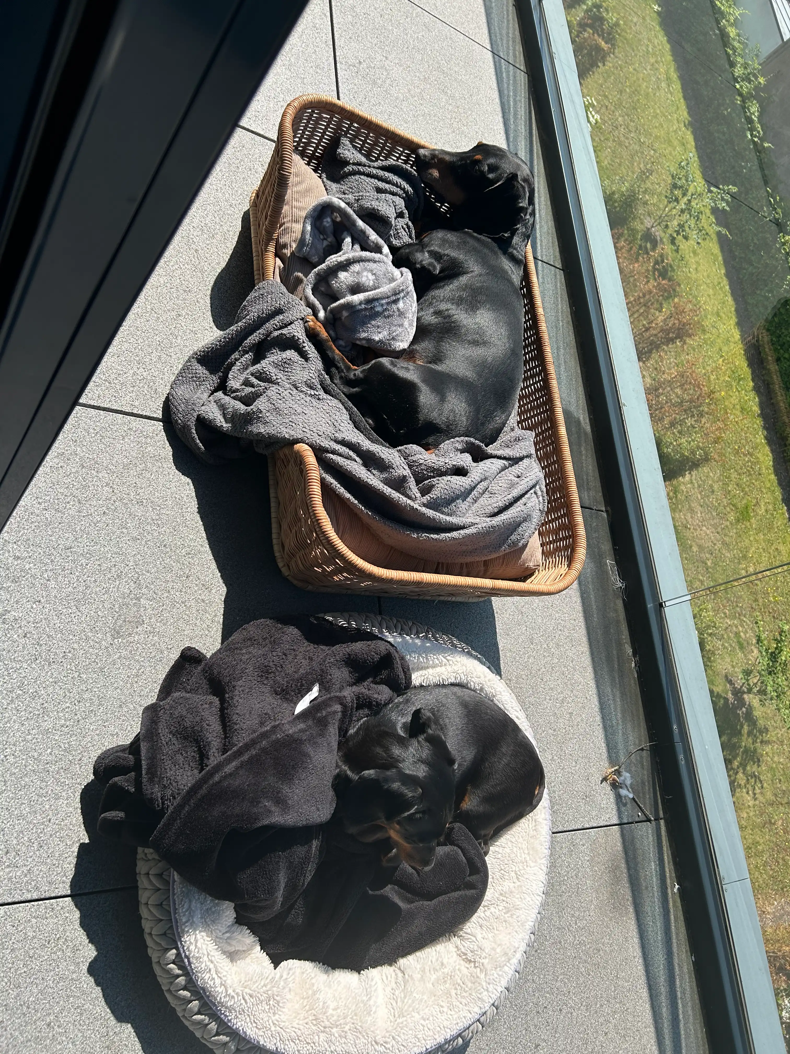 image-10