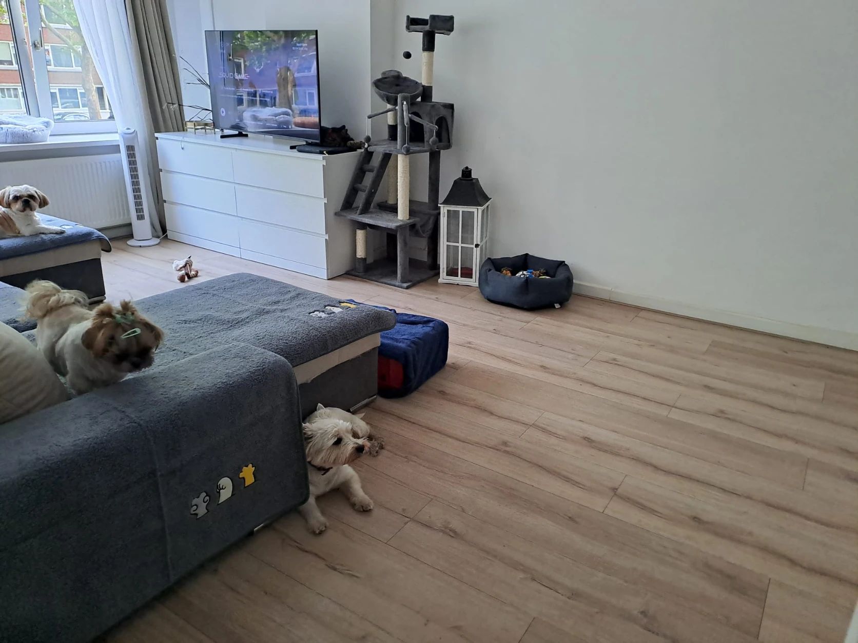 image-56