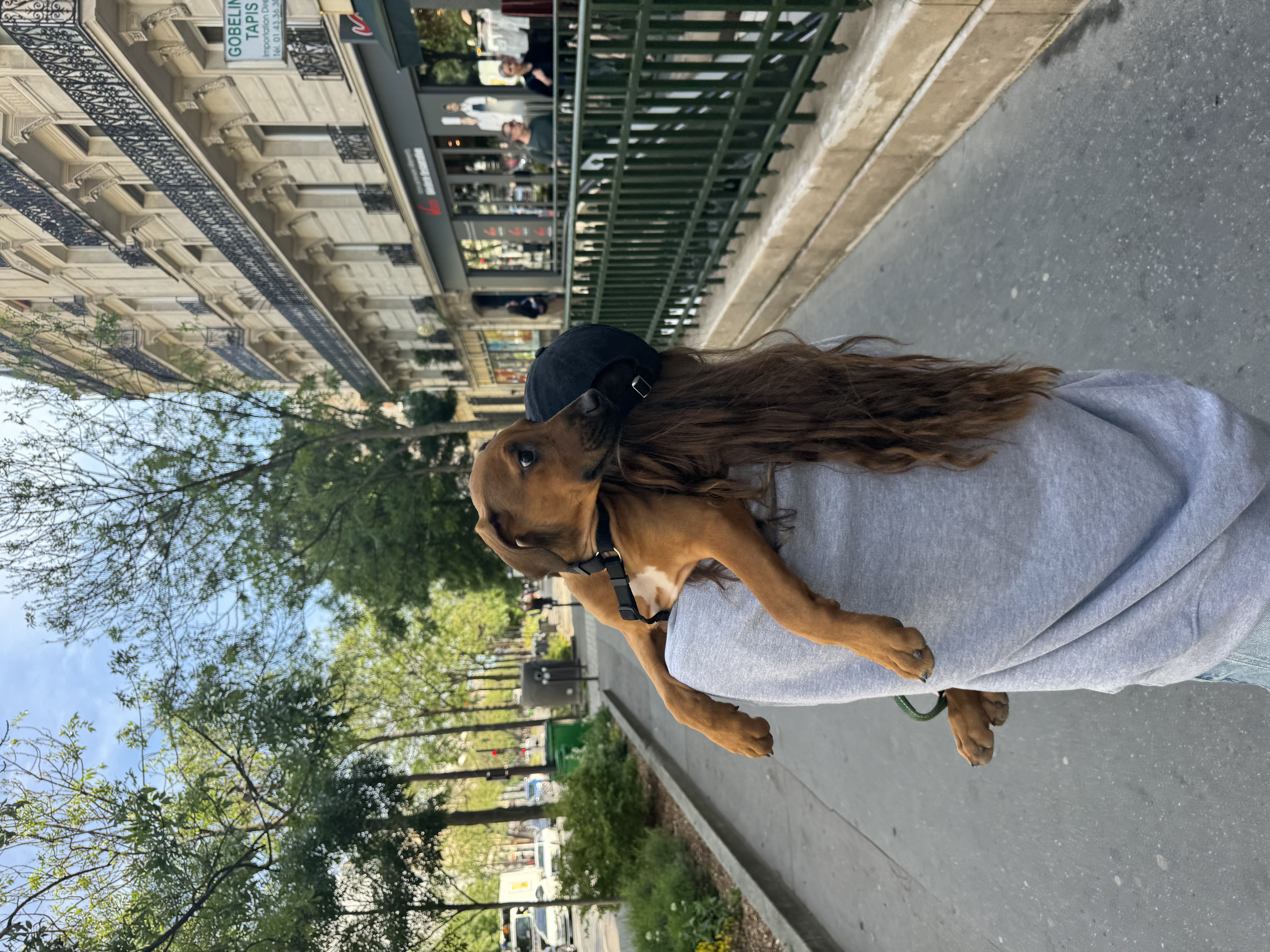 image-8