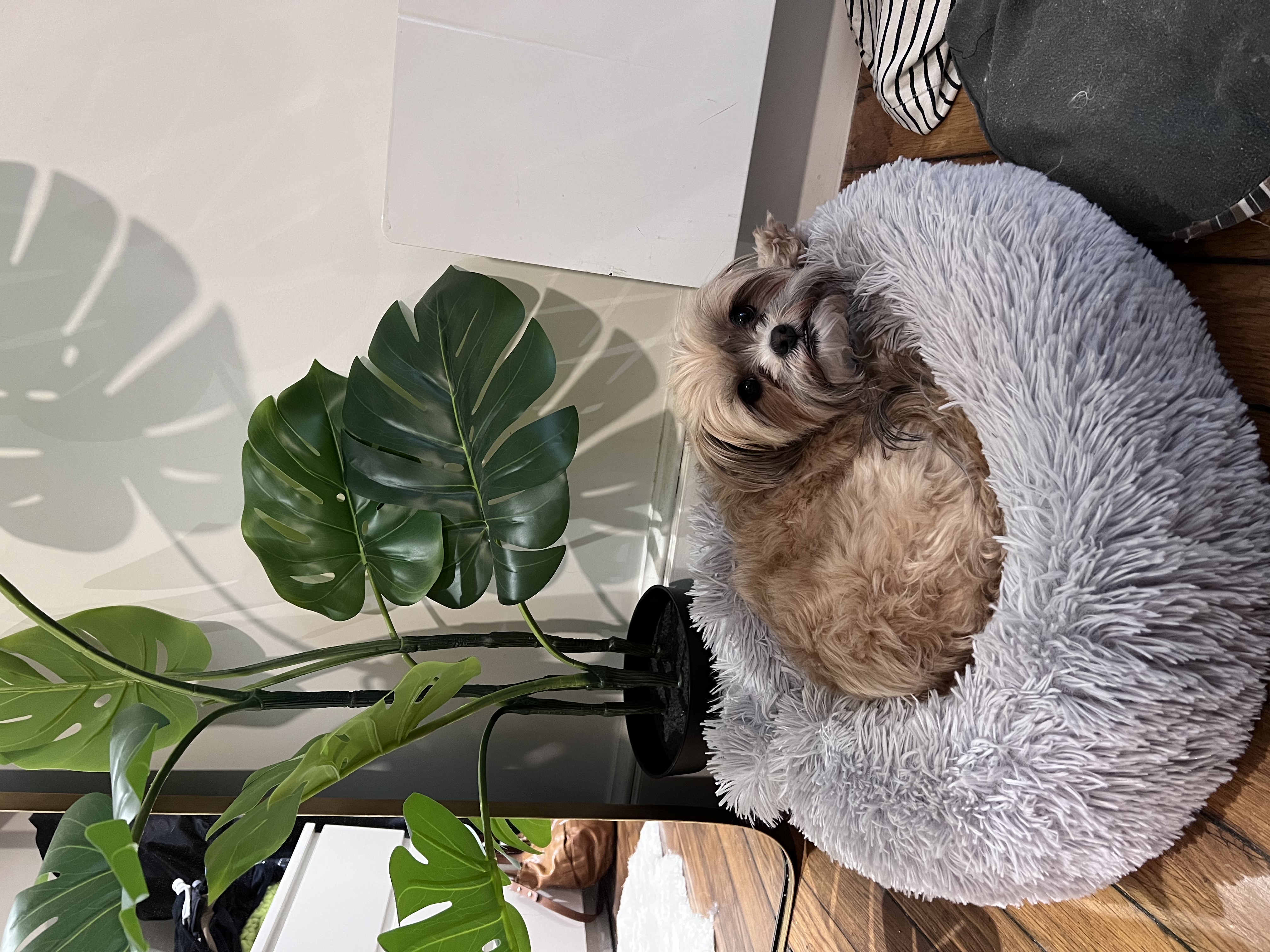 image-15