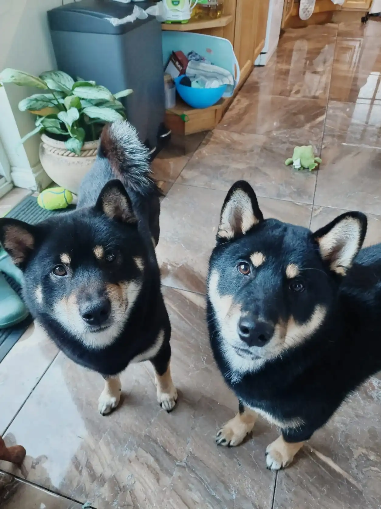 image-10