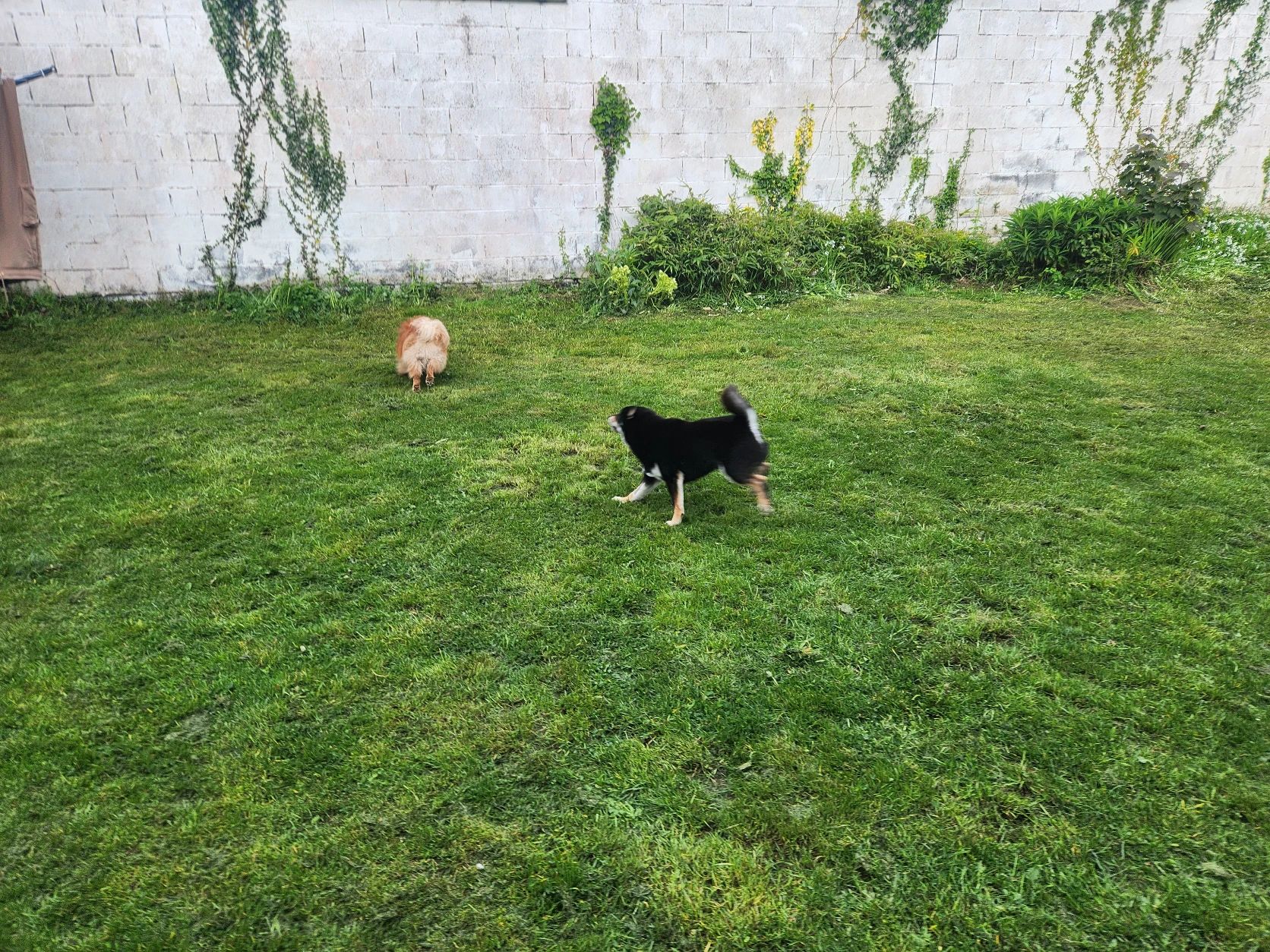 image-25