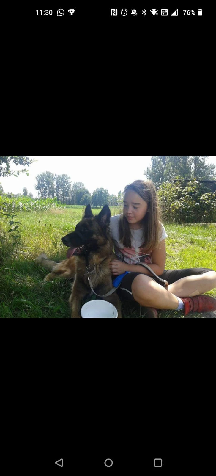 image-14