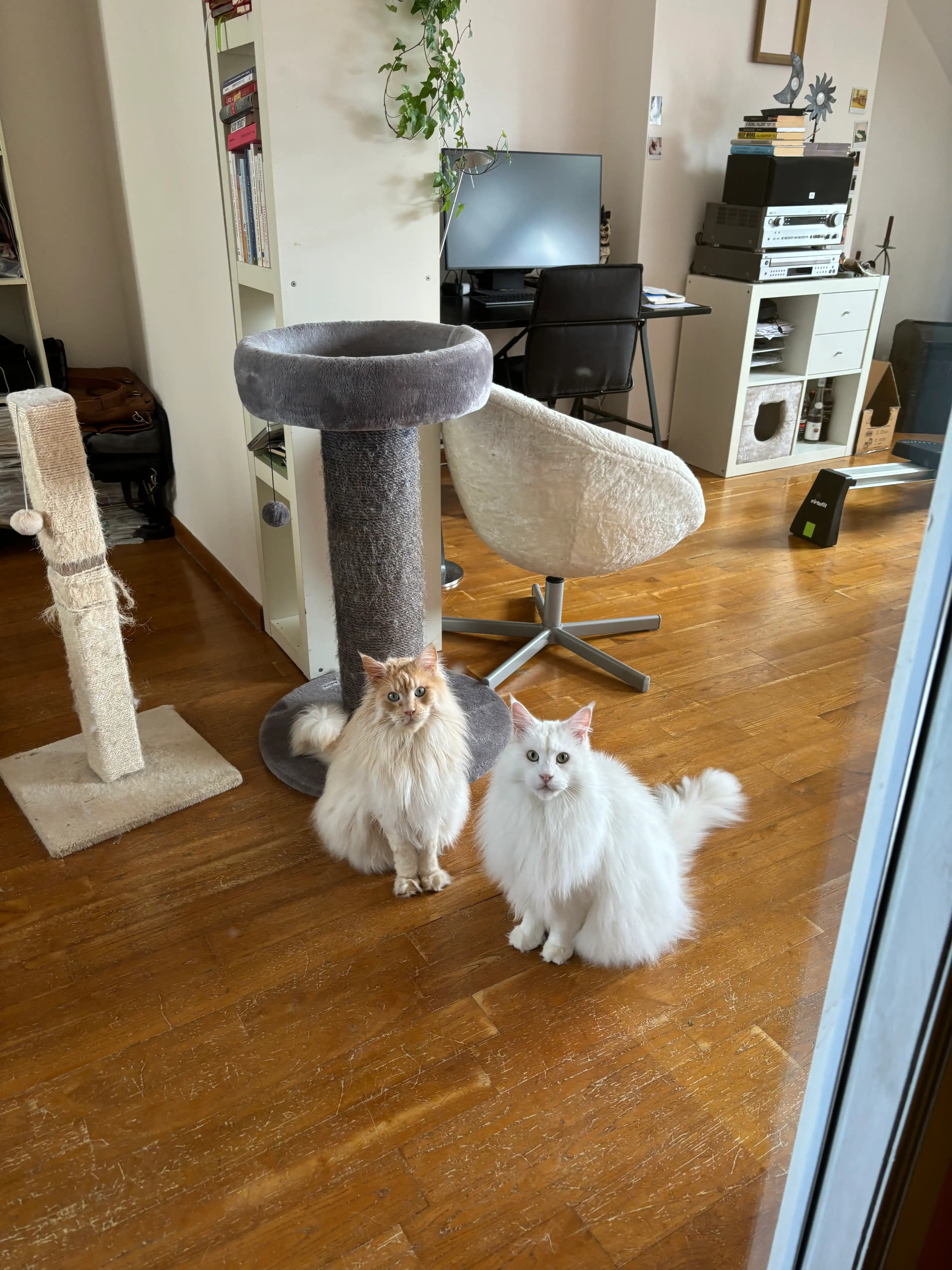 image-8