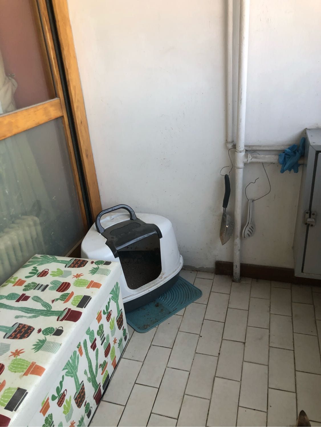 image-18