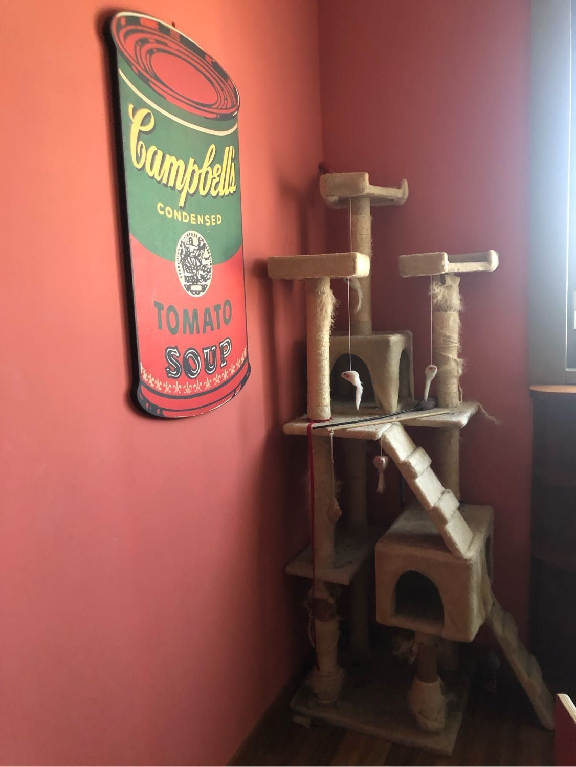 image-12