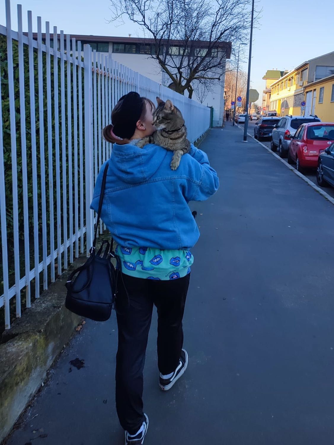 image-8