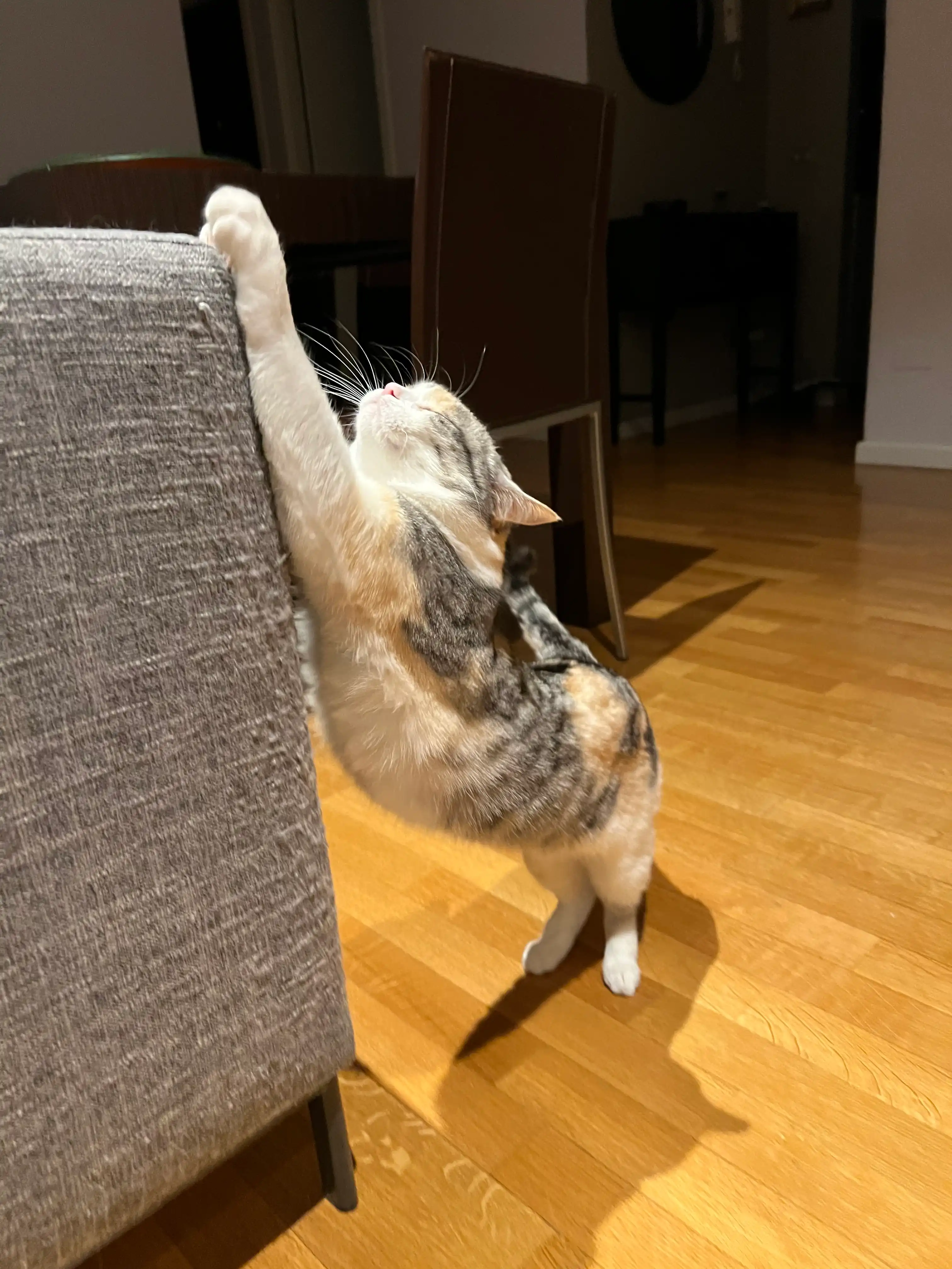 image-16