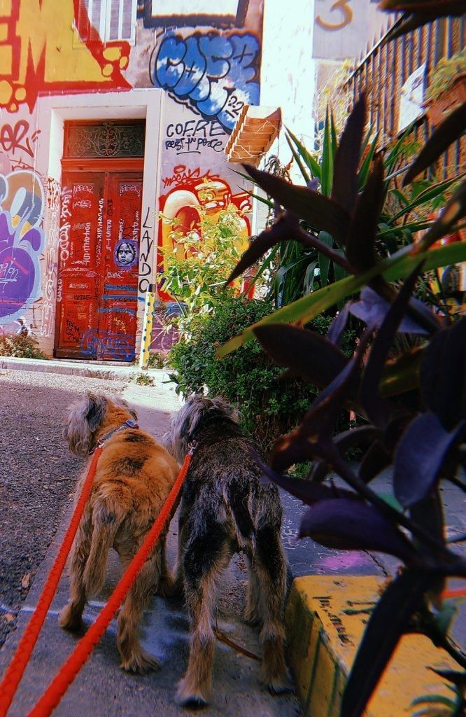 image-9
