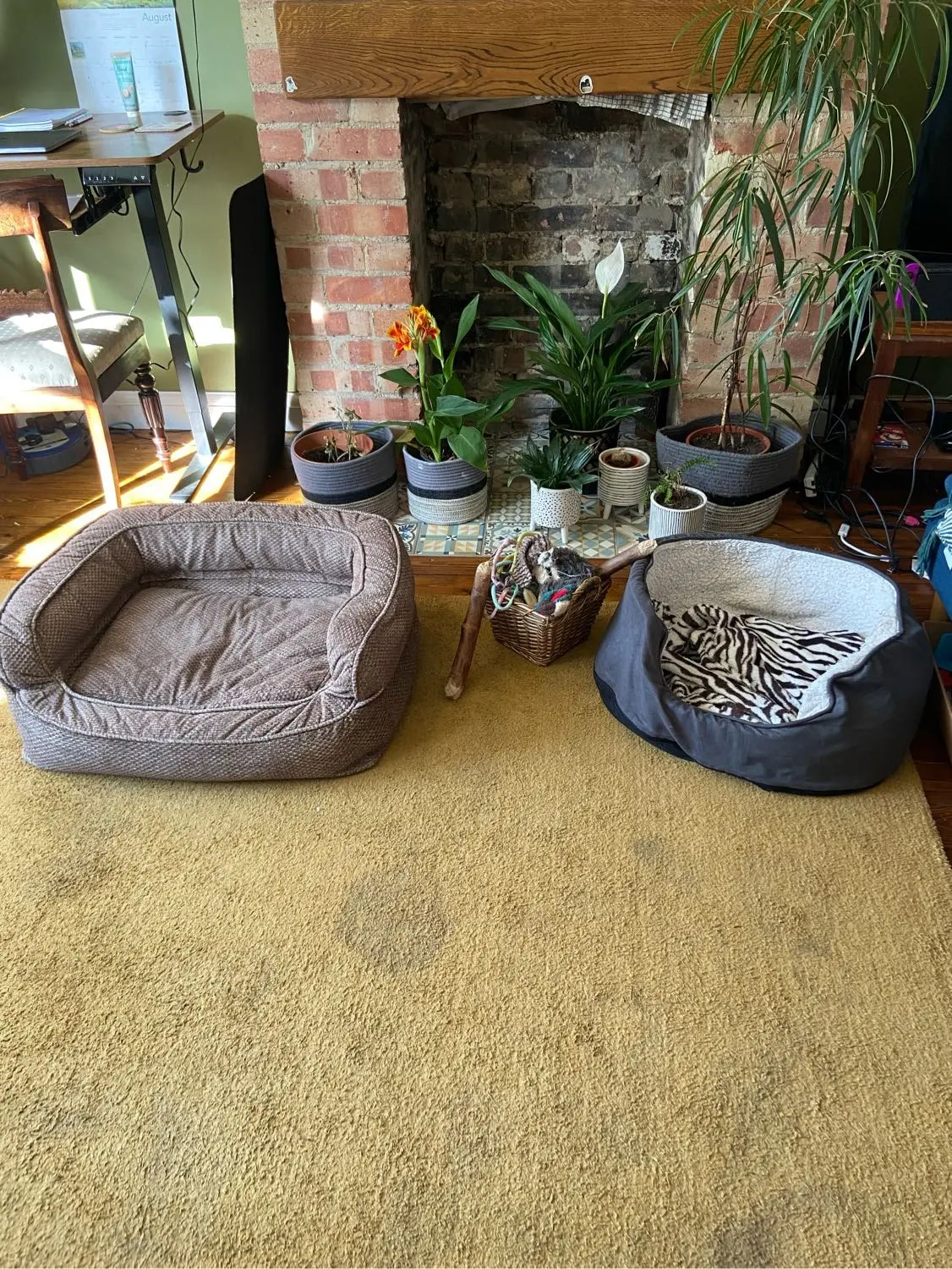 image-4