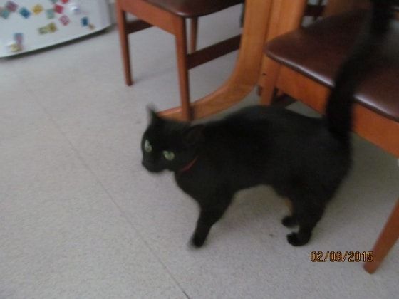 image-6