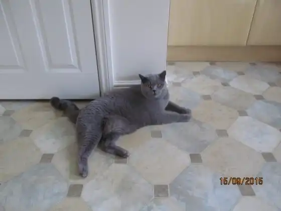 image-5