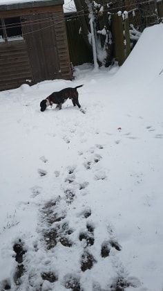 image-9