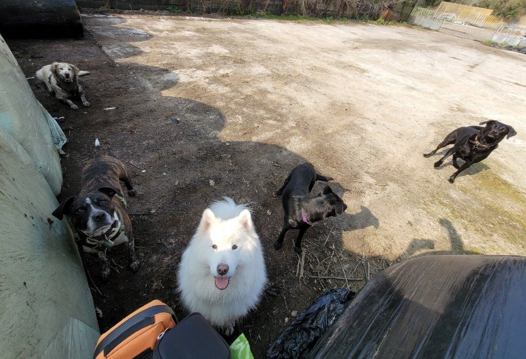 image-61