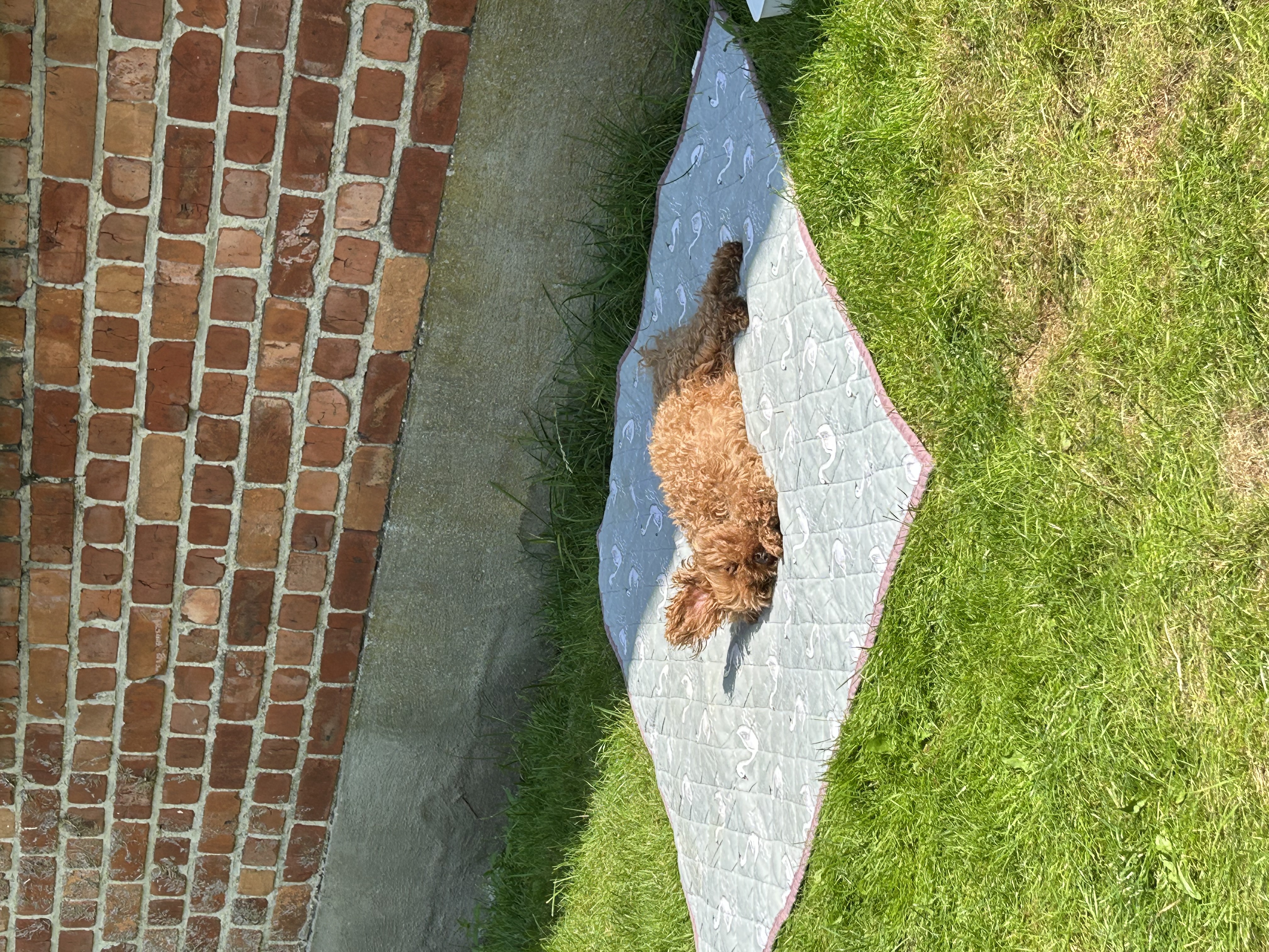 image-6