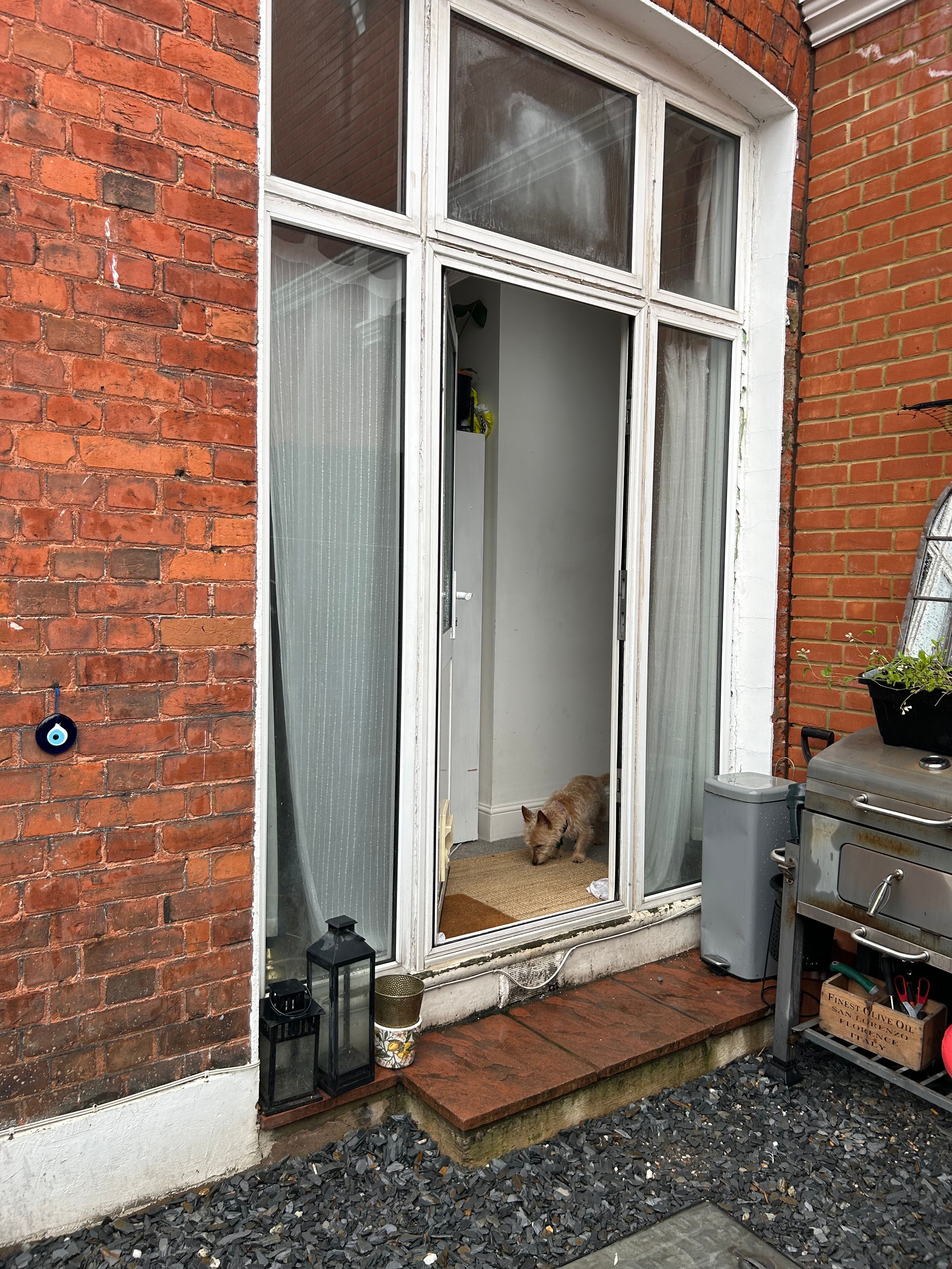 image-13