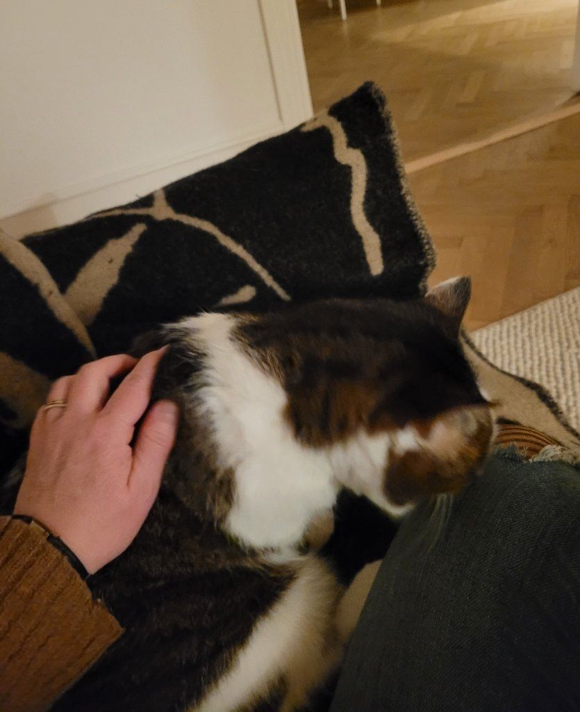 image-39