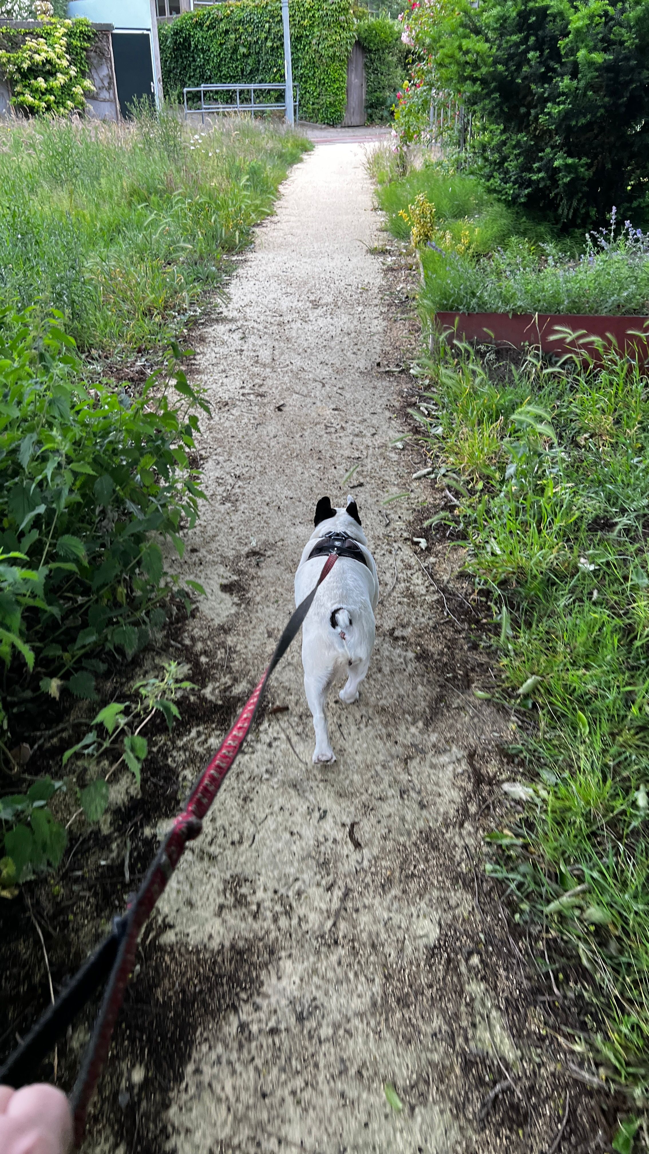 image-8