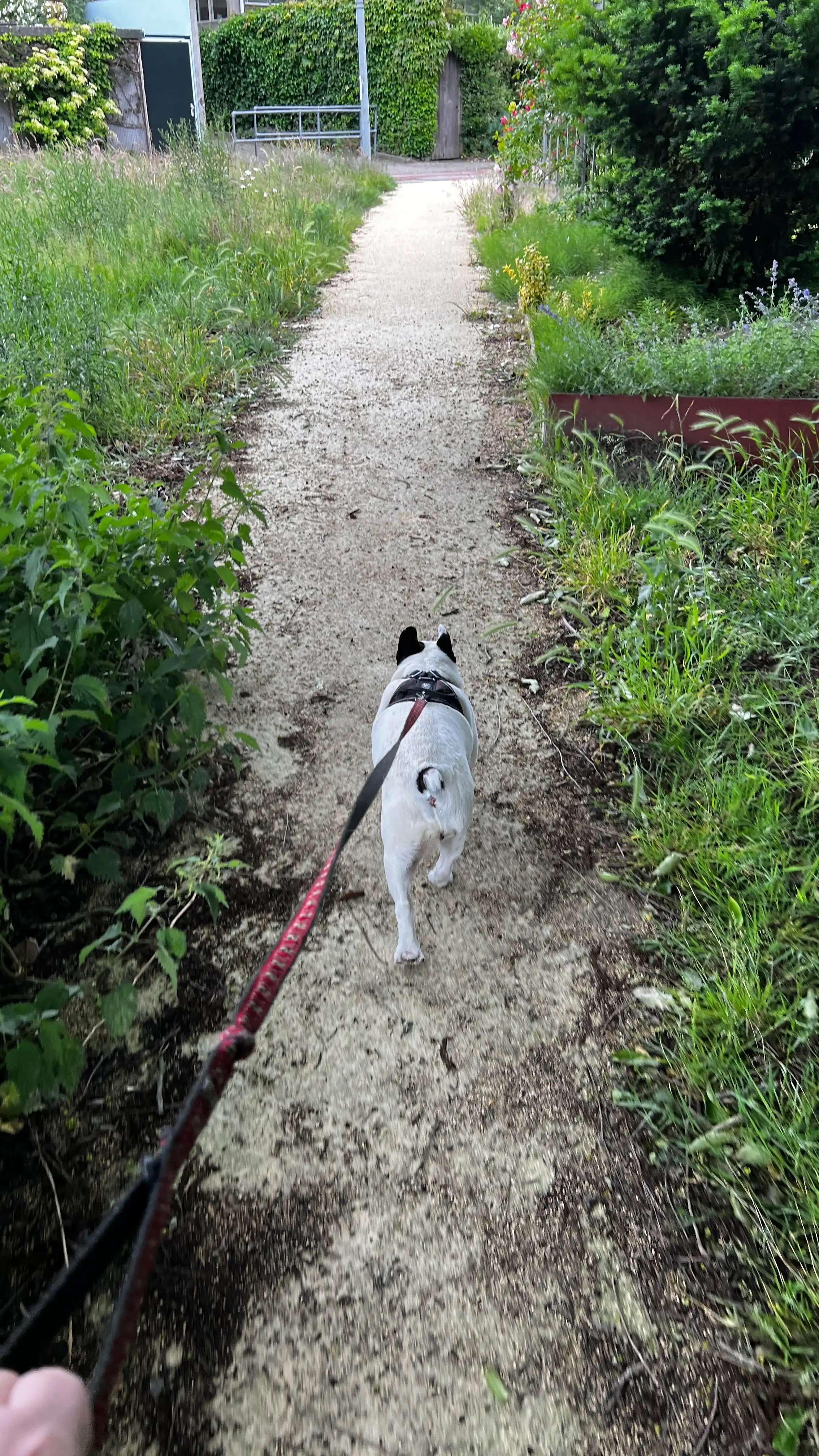 image-8