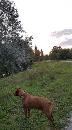 image-14