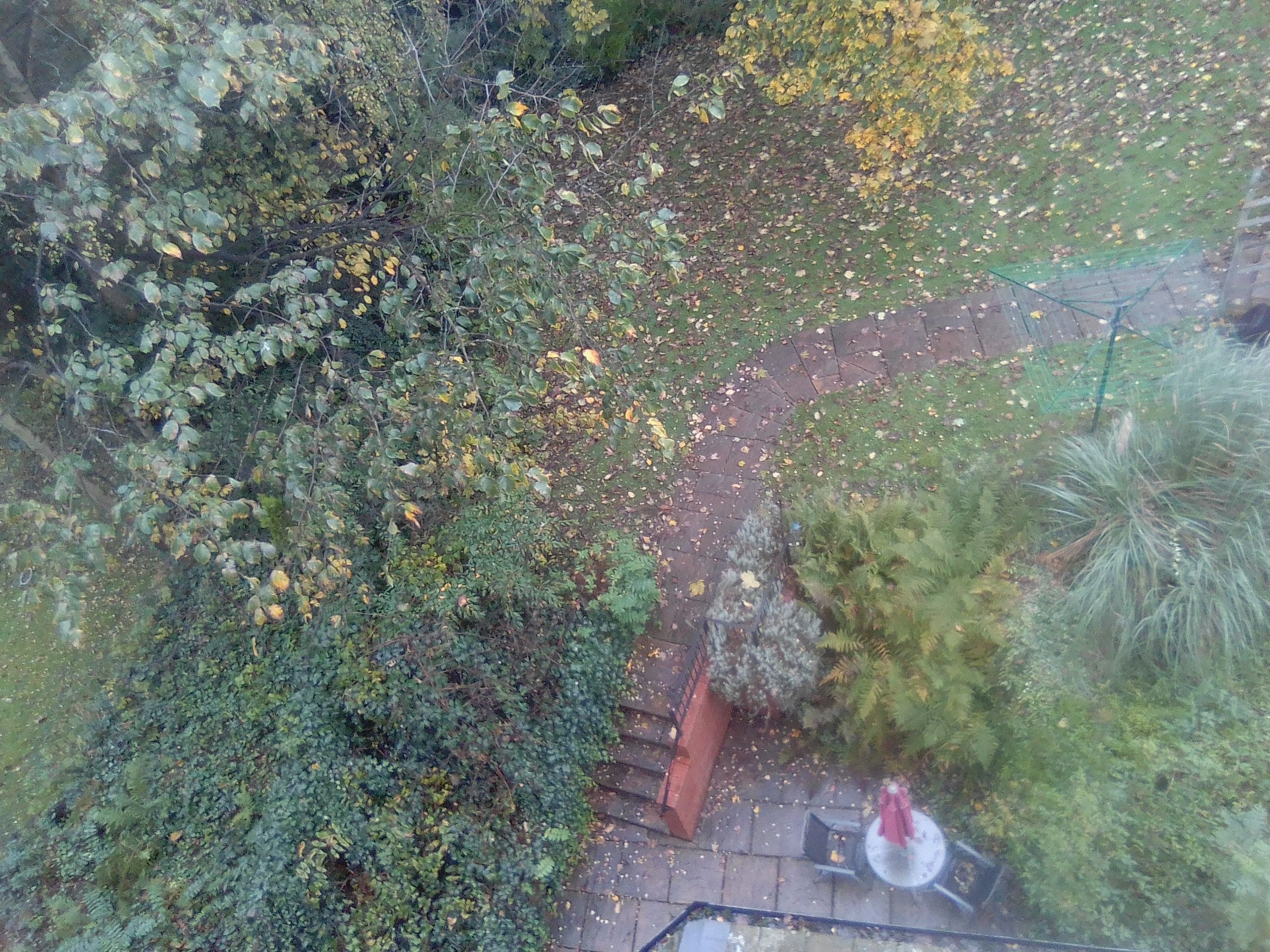 image-10